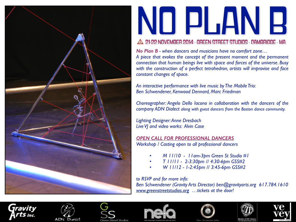 No Plan B - FinalFlyer BACK INFO.jpg