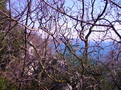 PICT0592.jpg