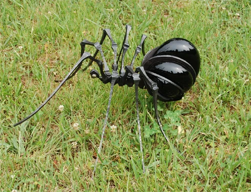 spider.jpg