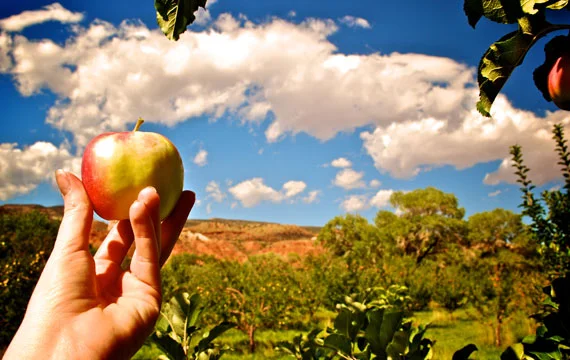 Capitol Reef National Park