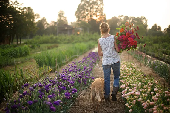 Sassafras Fork Farm Part II