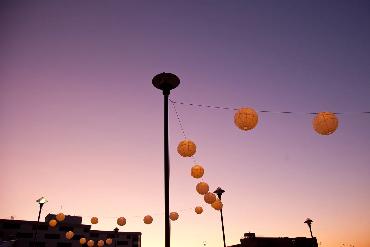 20110902_3317.jpg