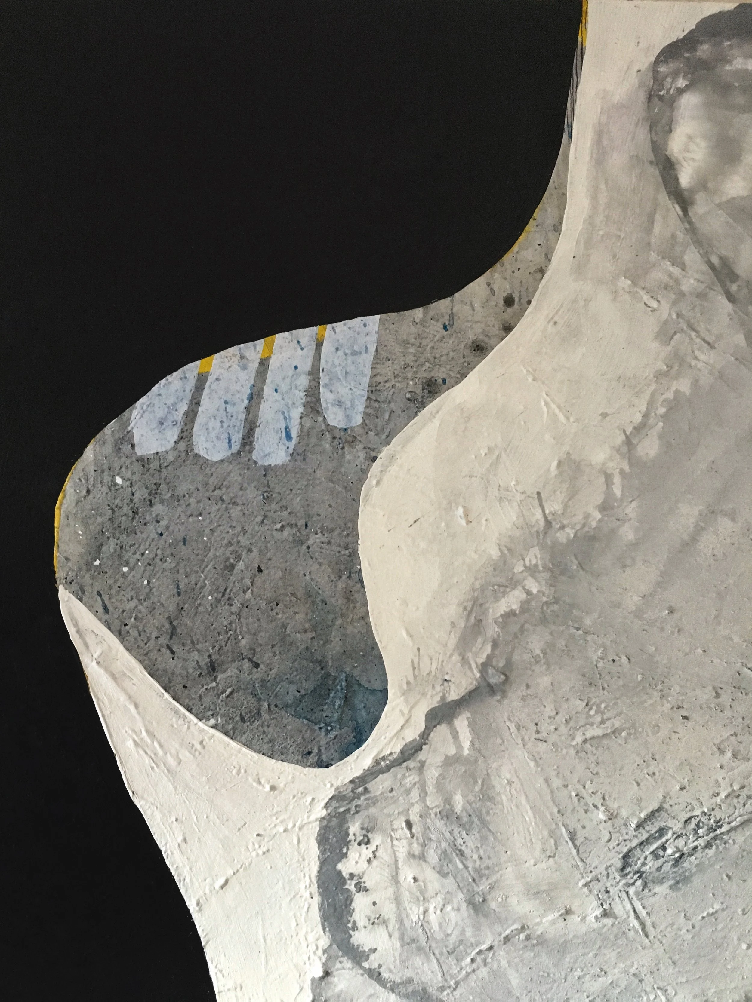 Flight of the Bluejay