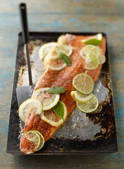 Raw Salmon.jpg