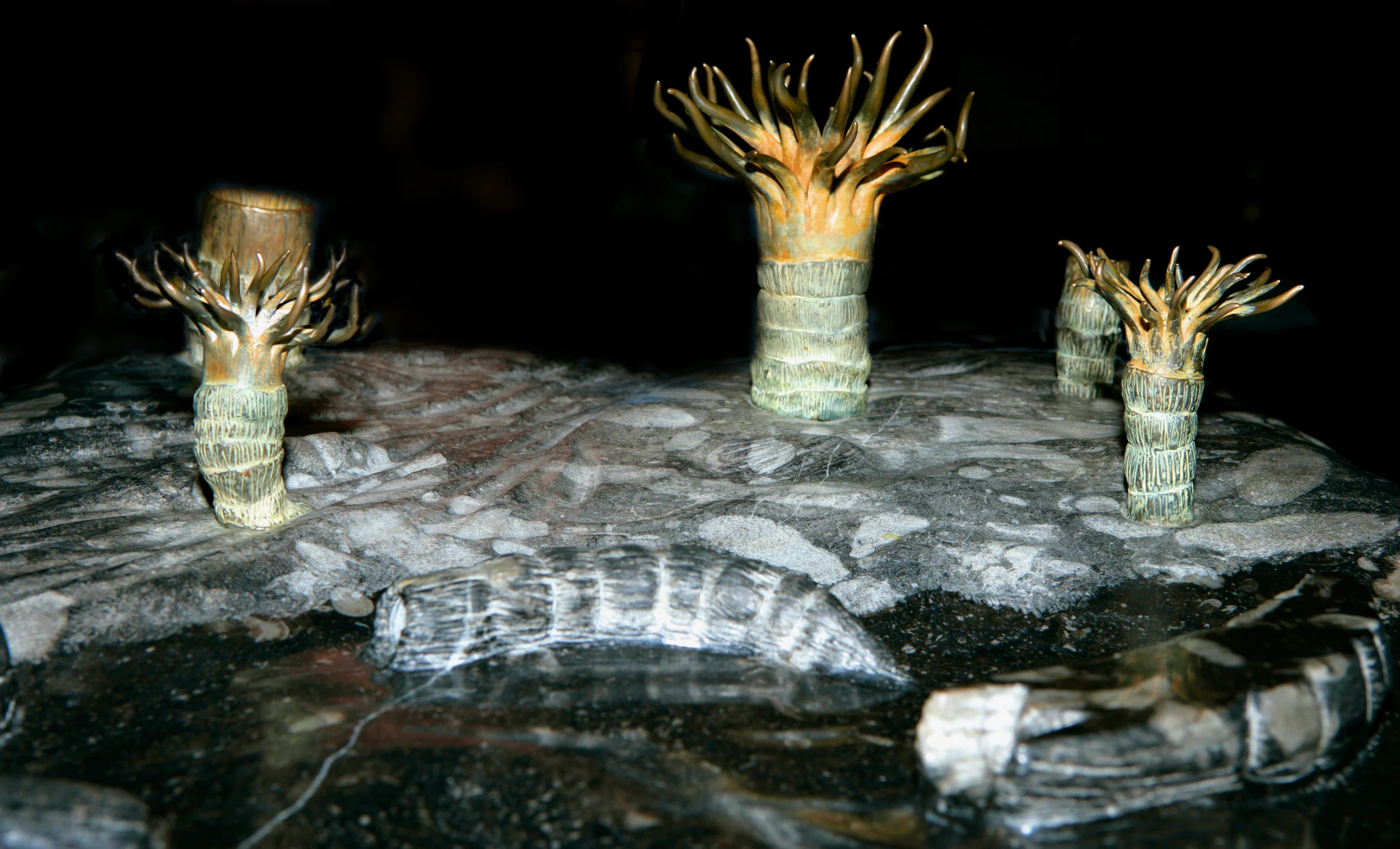 Frosterley Marble.4.jpg