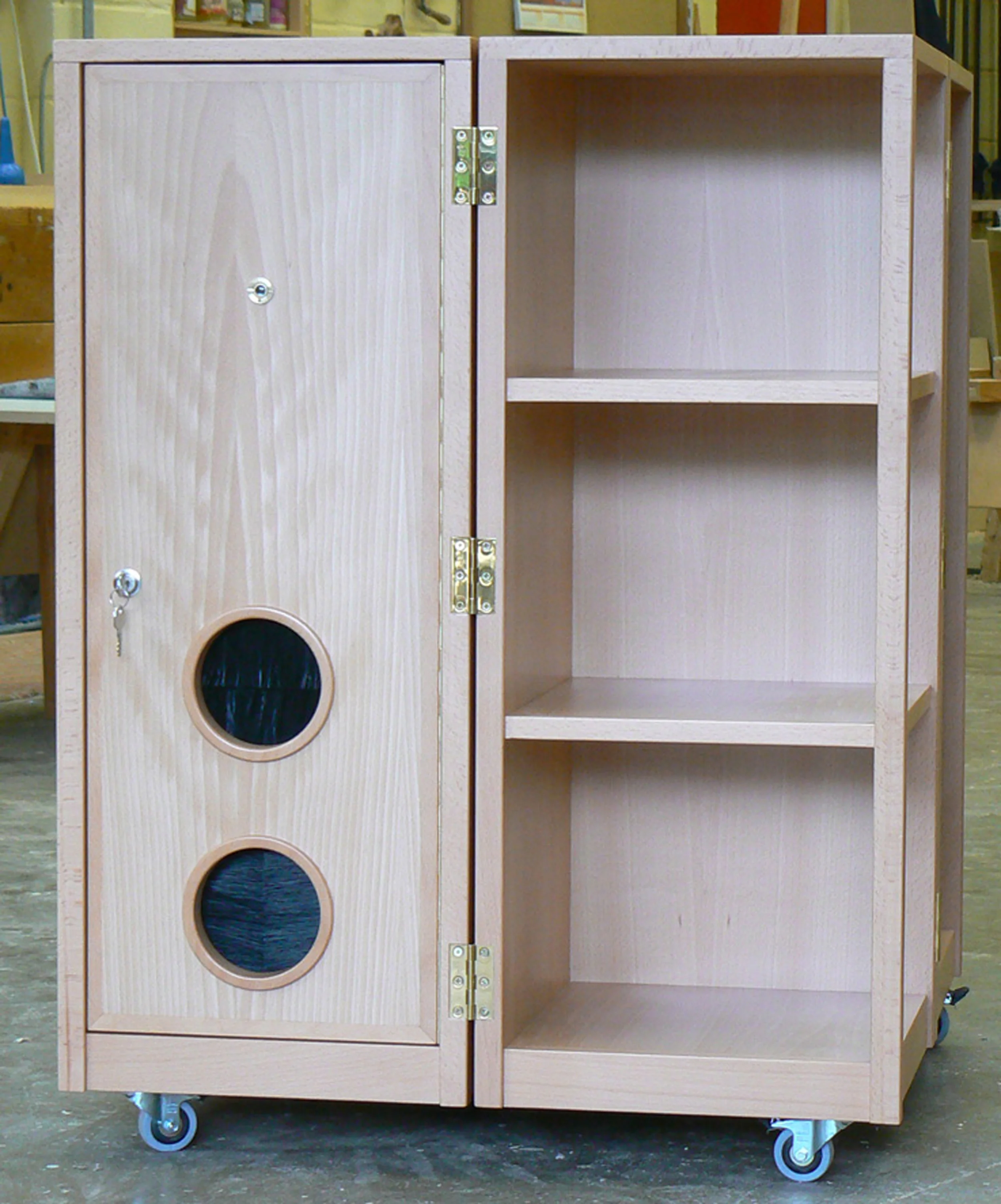 Laing Mobile Activity Module.3.jpg