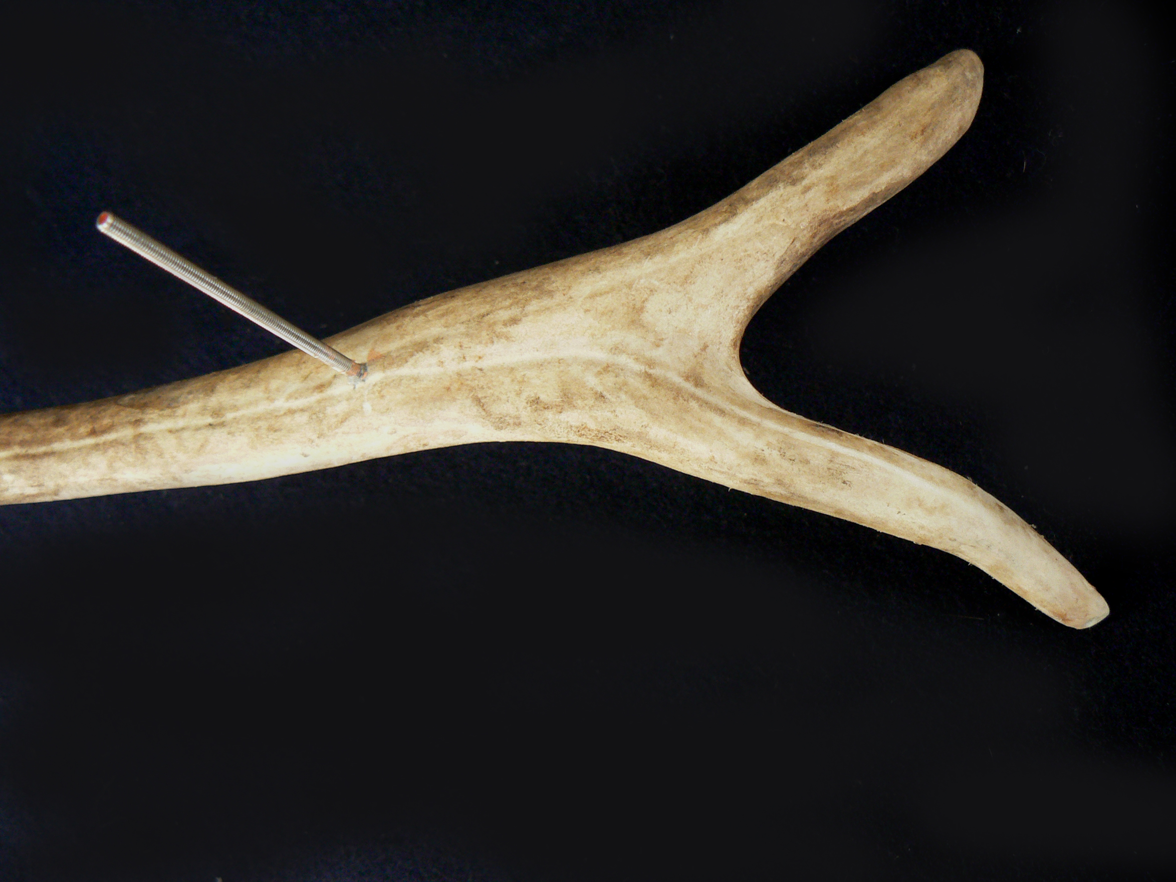Vikings - reindeer antler and fixing.jpg