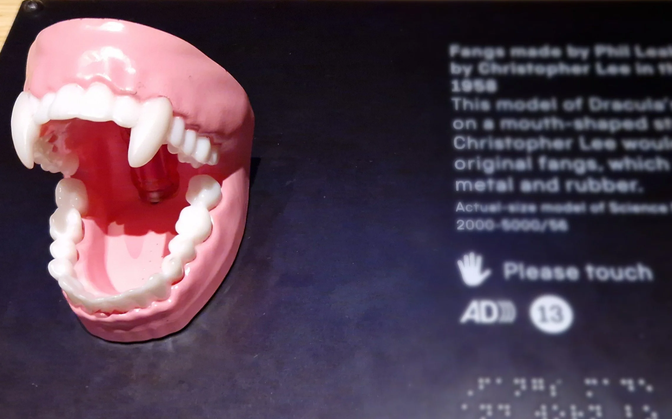 fang crop.jpg