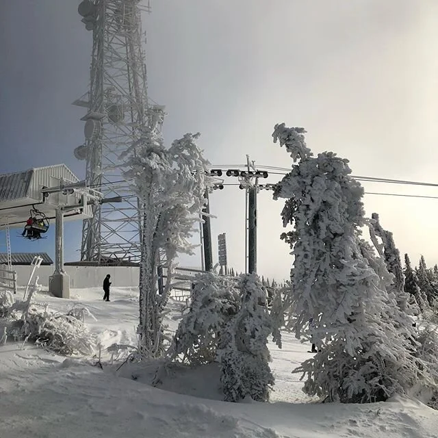 Beautiful day @ Mont-Tremblant, final weekend of the decade,goodbye 2019 #skitrip #ikonpass #cestsibon