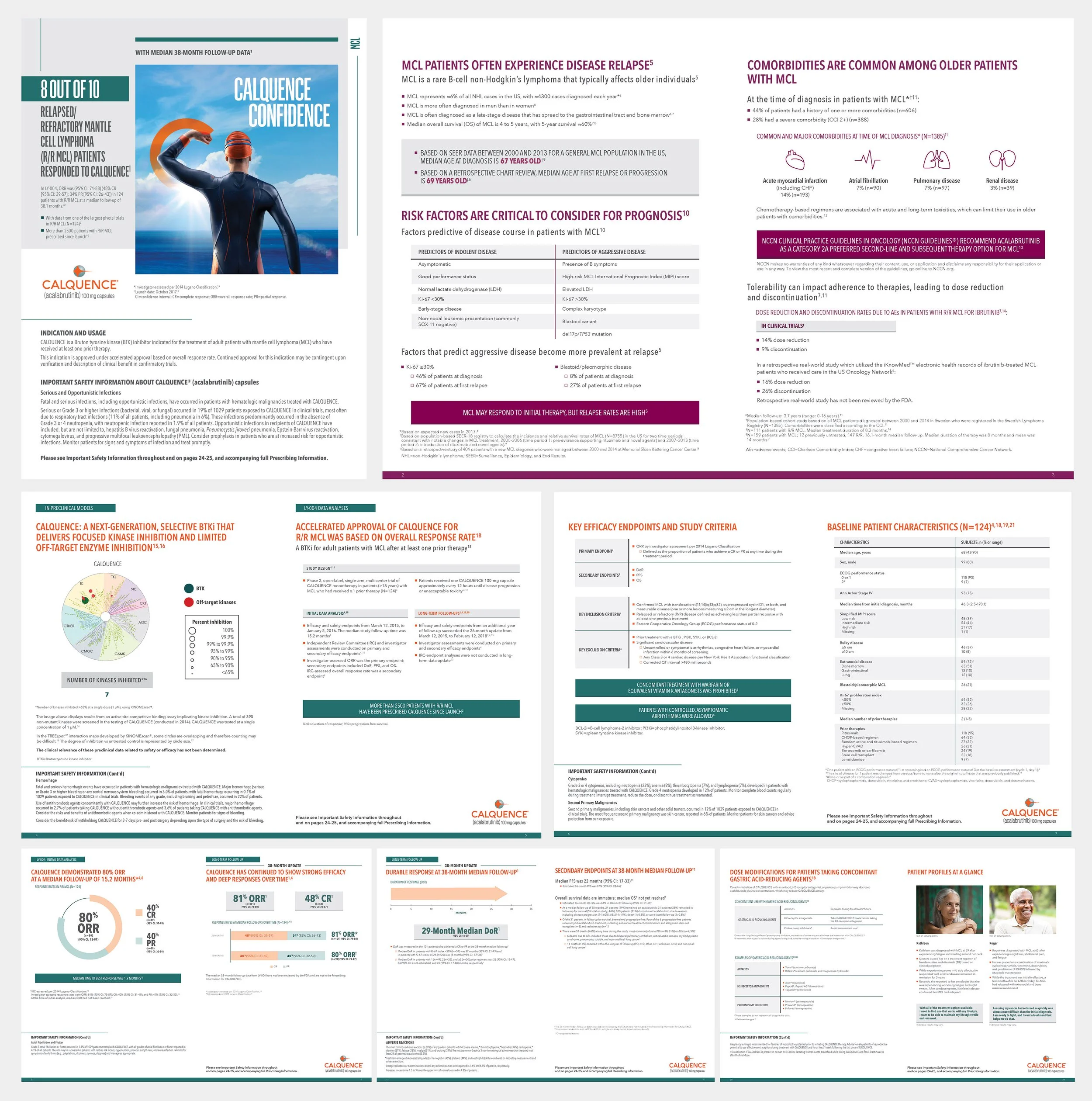 calq_brochure.jpg