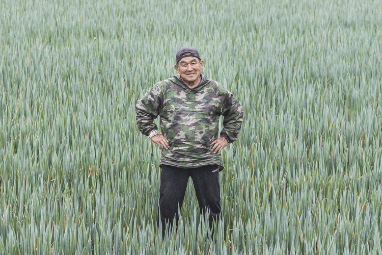 Ishii Iwao, 66, Nanbu, Onion Iwao farmed rice, but switched to onion because it was more profitable. His wife, Ishii Nariko, grows grapes in an adjacent orchard. Their eldest son, Yukio, assists them on their farm.