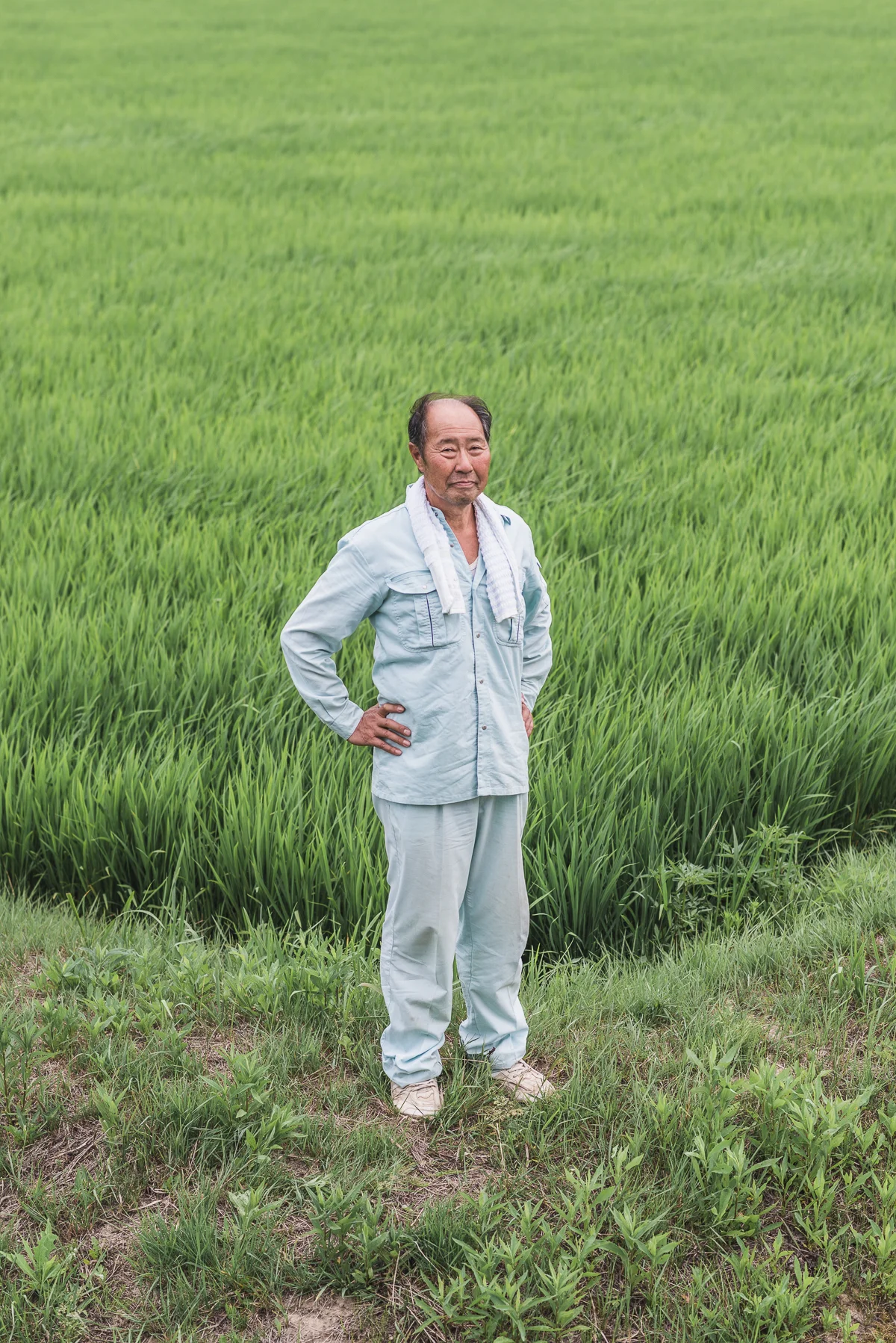 Watanabe Yoshiaki, 63, Tome, Rice