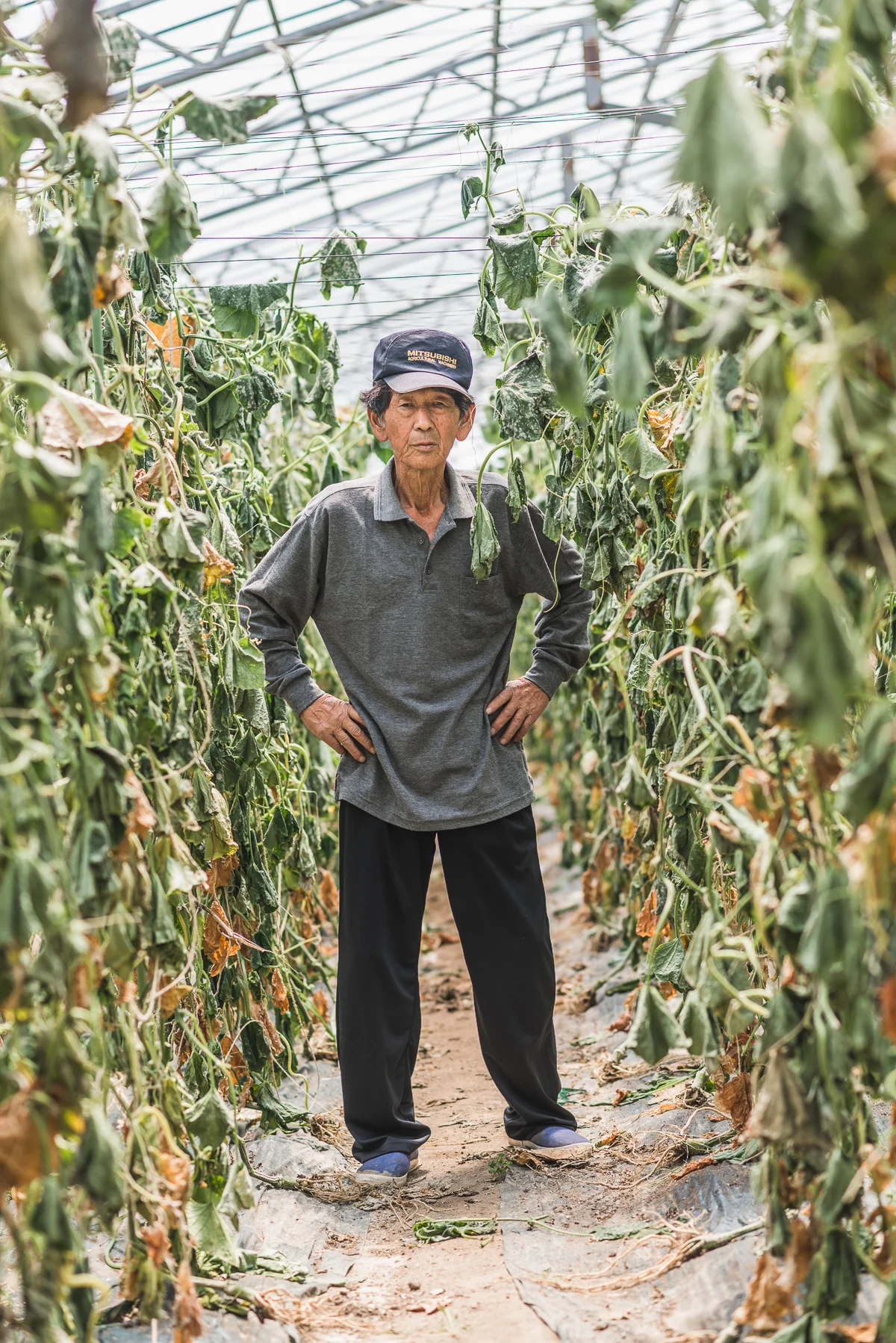  Tsukasa Abe, 71, Higashi Matsushima, Cucumber and Tomato  Abe, himself a third generation farmer, has two sons, 45 and 38. The oldest decided to take over farming after the tsunami washed away his previous office. The youngest continues to work in a