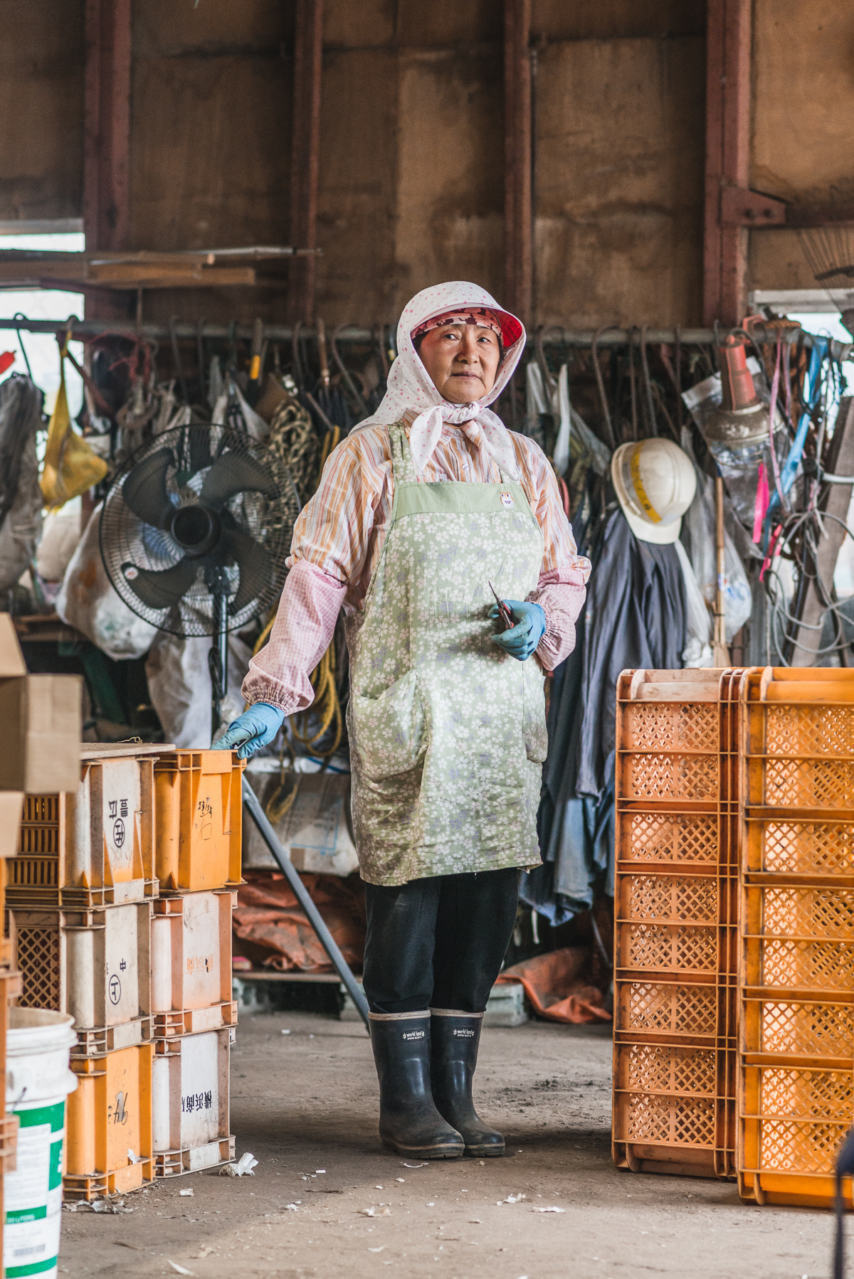  Sasaki Tomie, 65, Gonohe, GarlicTomie is a first generation garlic farmer,&nbsp;who began managing 10 hectares three years ago. She took up farming to make extra income and to occupy her time, as her husband worded as a carpenter. Her two sons live 