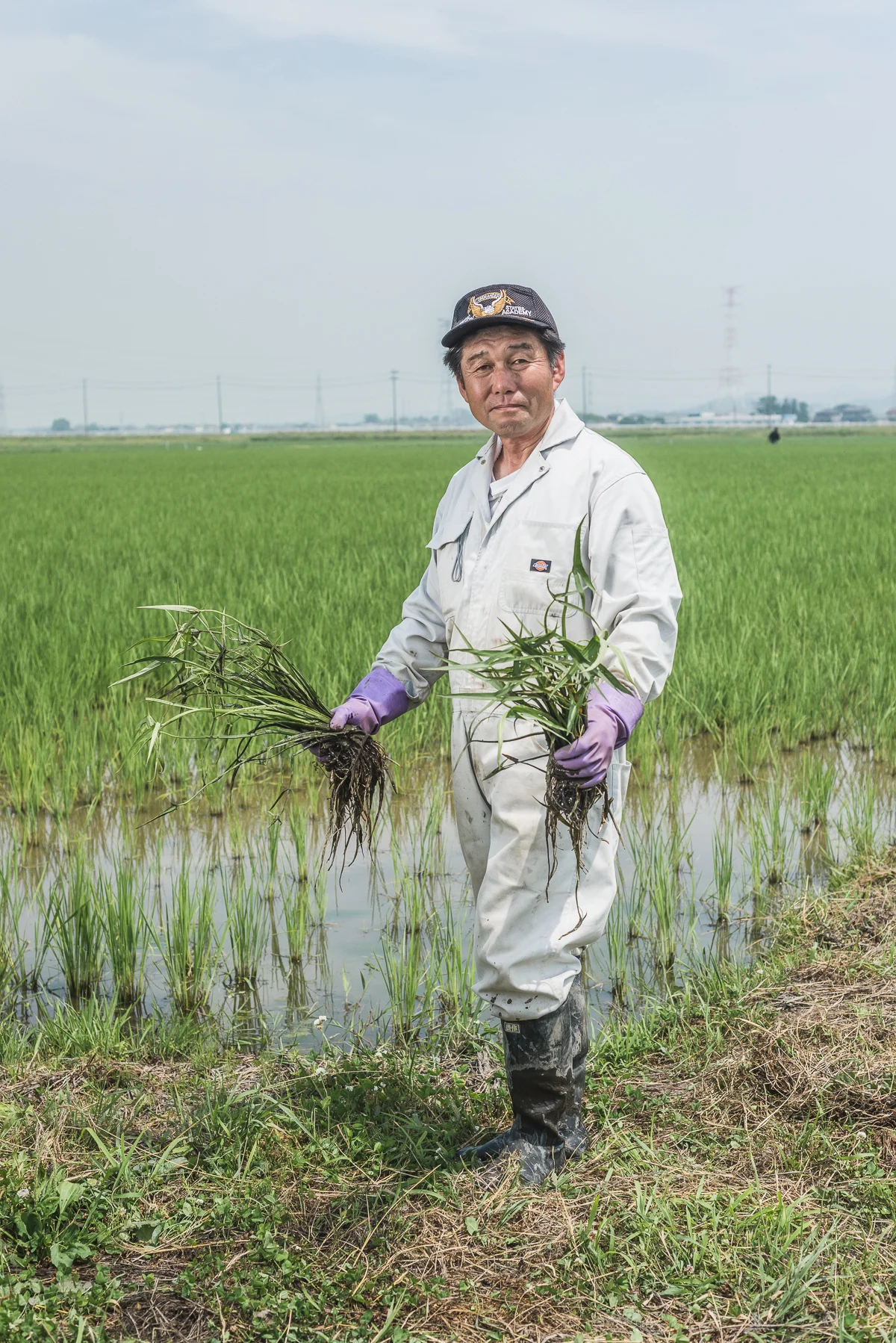  Ota Toshiharu, 60, Ishinomaki, Rice  Toshiharu and his wife Kikumi farm with their oldest son Atushka. Their other two children live in the city and work in offices.&nbsp;Toshiharu is a 12th generation farmer on these 11 hectares of land, accounting