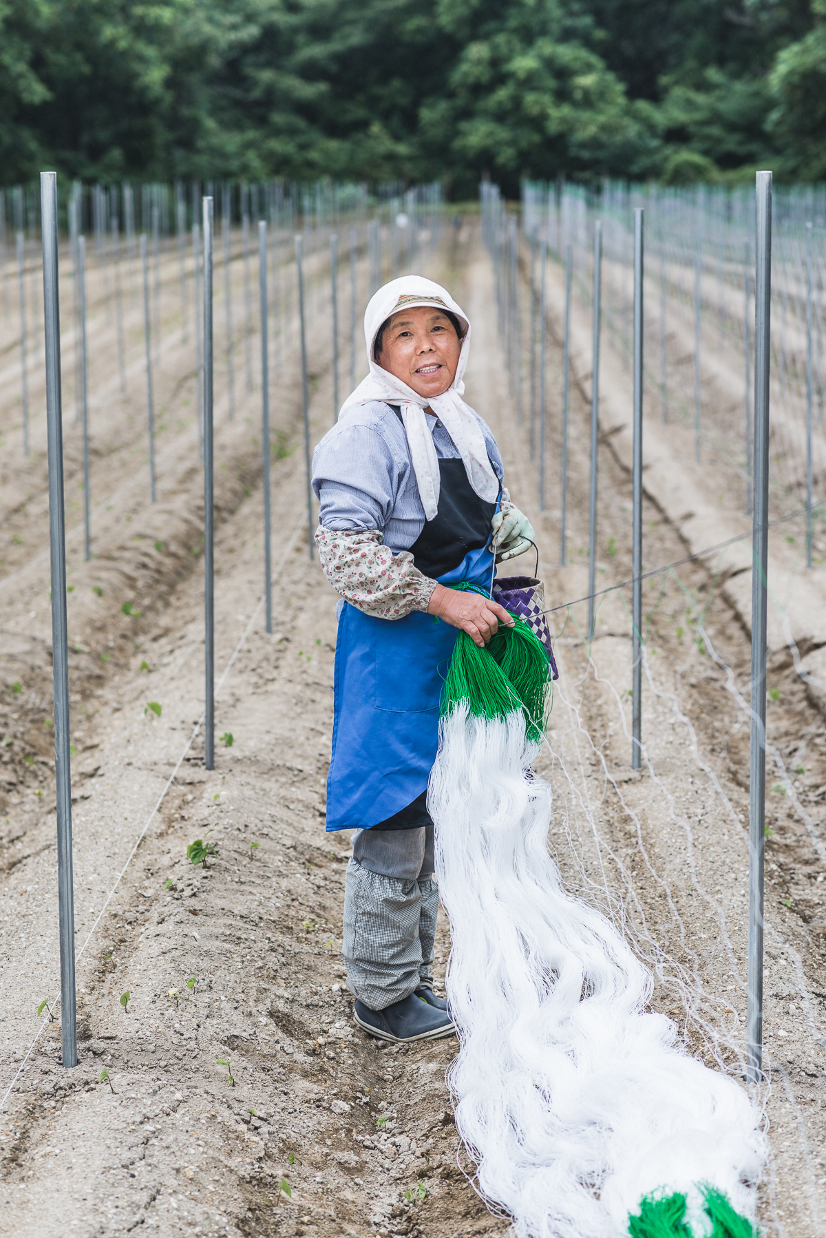  Nakasato Nobuko, 64, Gonohe, Chinese YamsOriginally from Towada City, Nobuko raises Chinese Yams in Gonohe with her husband Kaneki. Her advice to future farmers is to “continue learning, and do whatever it takes to love your job.” 