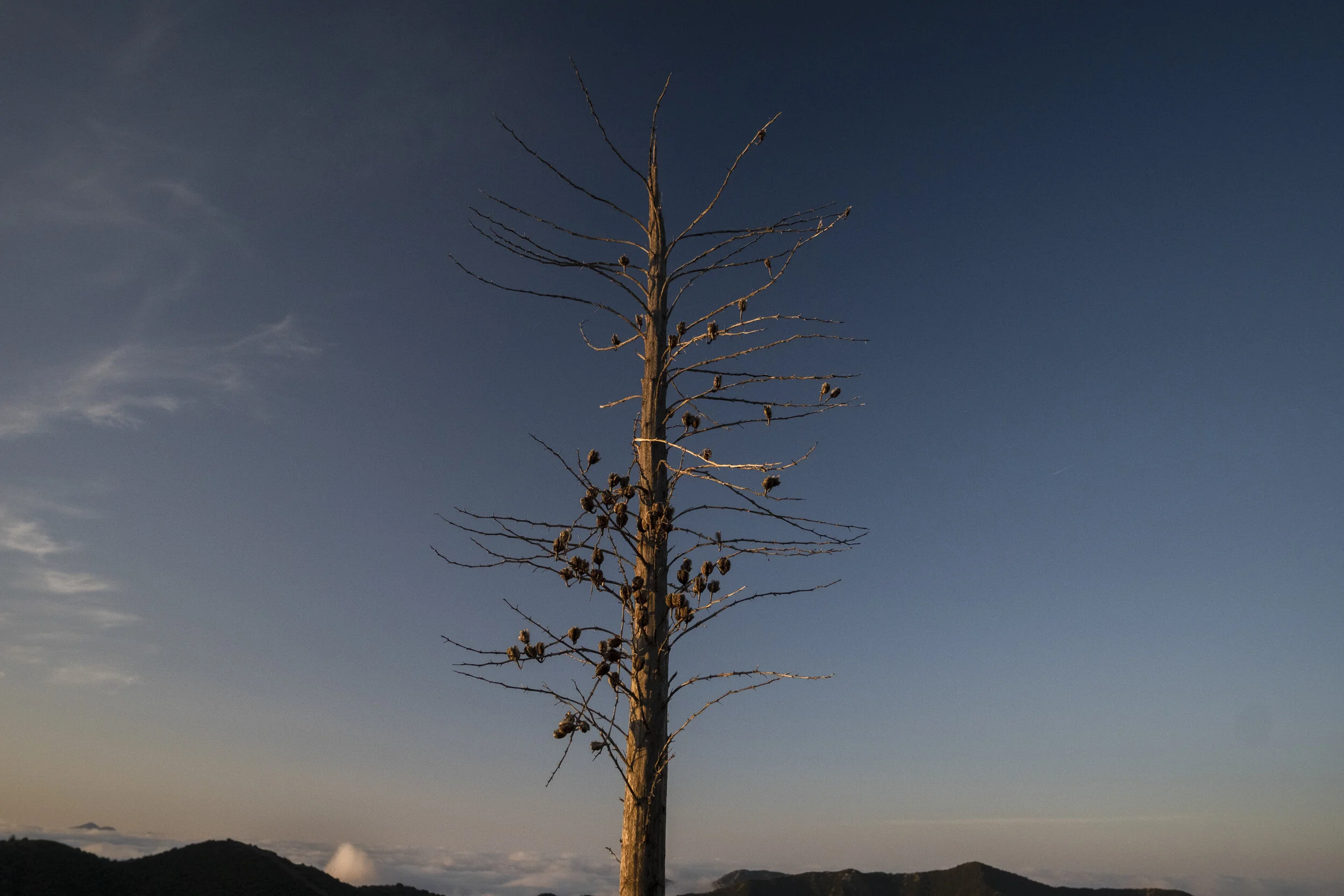 002 20190507-ZachKrahmer-21a.jpg