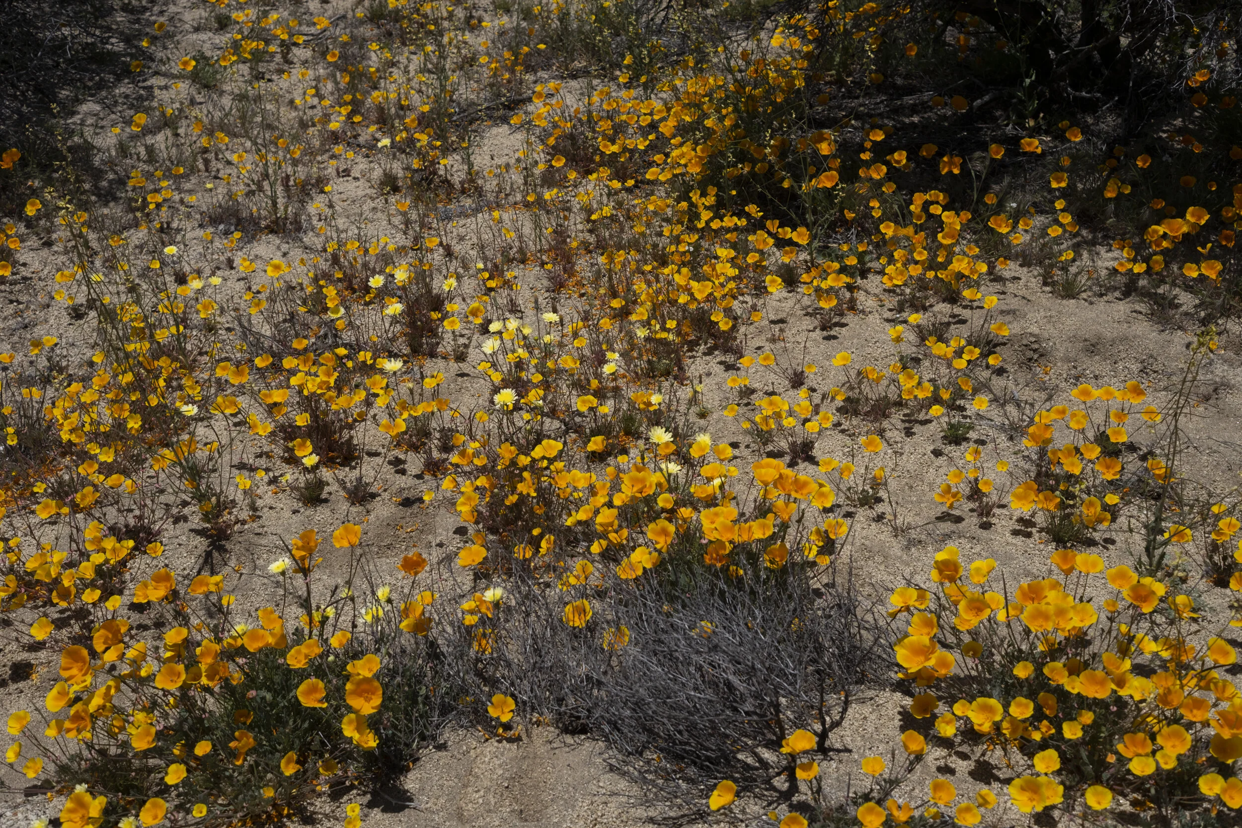 004 20190414-ZachKrahmer-79.jpg