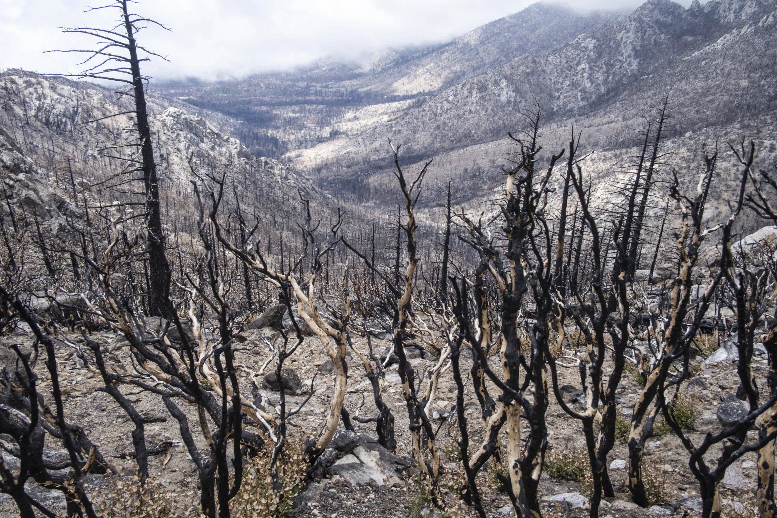 013 20190416-ZachKrahmer-220.jpg