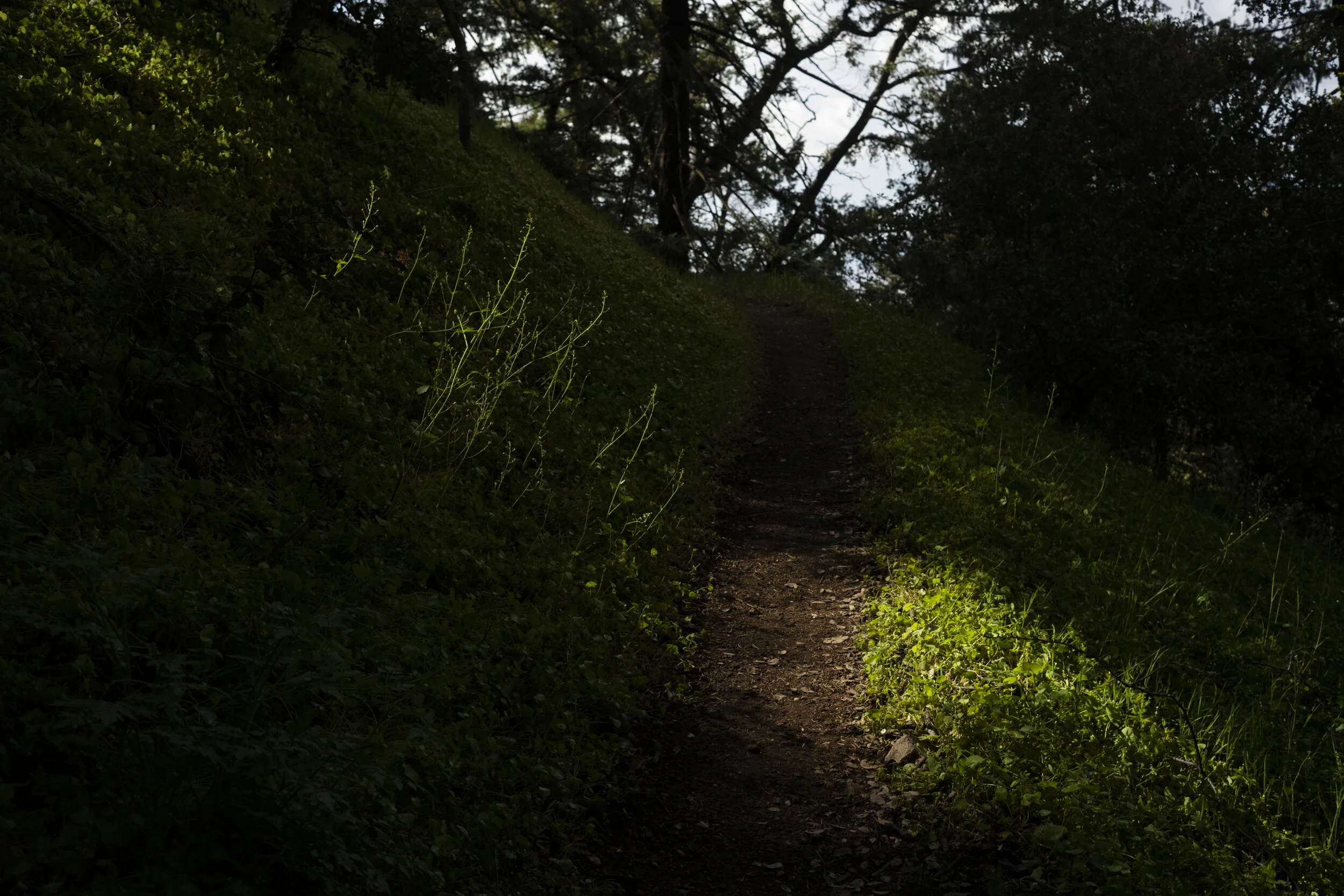 017 20190511-ZachKrahmer-261.jpg