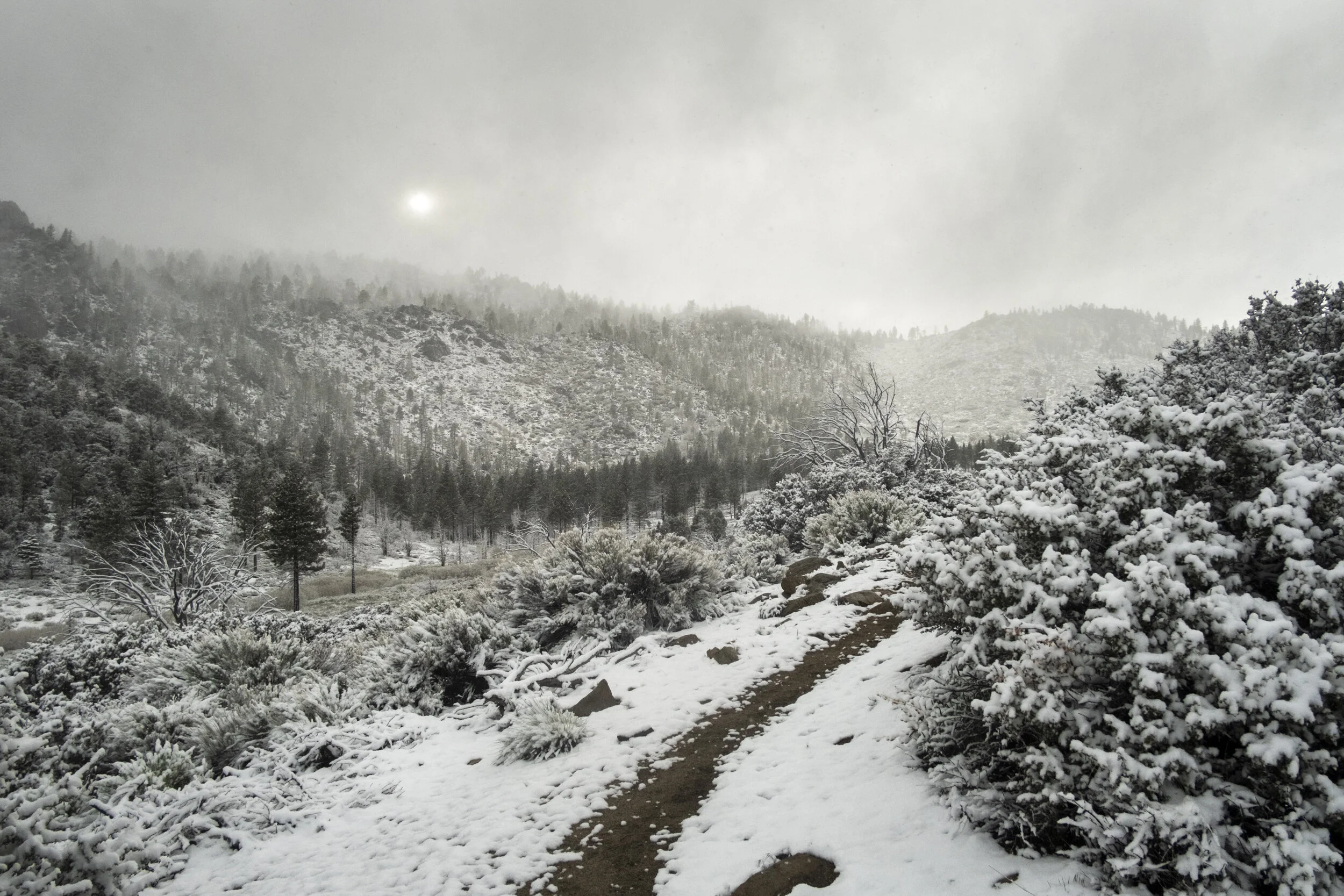 022 20190526-ZachKrahmer-50.jpg