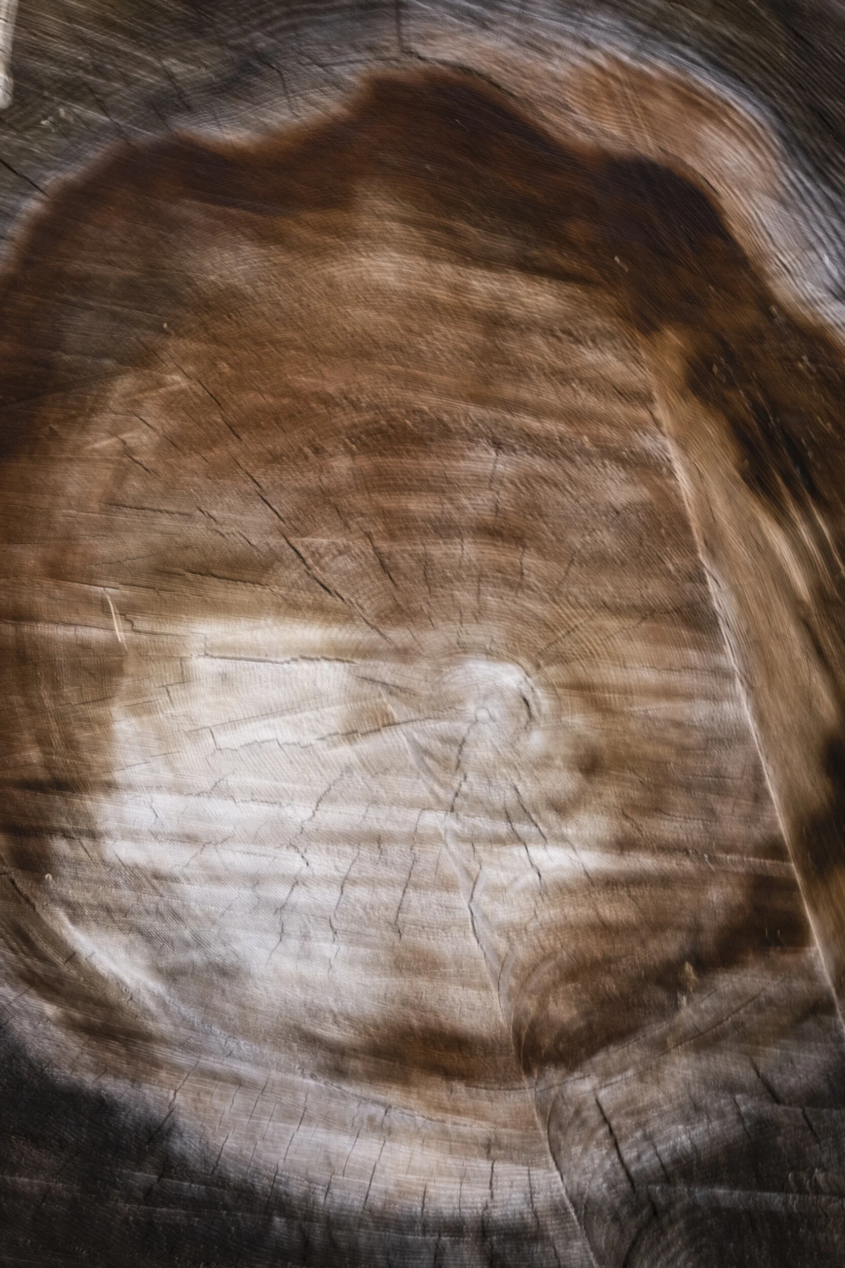 038 20190807-ZachKrahmer-217.jpg