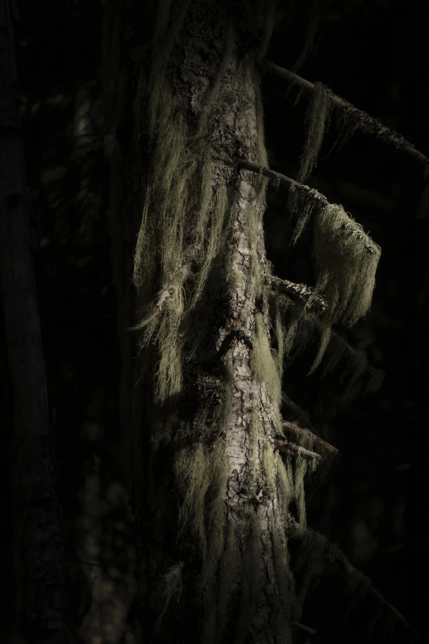 047 20190824-ZachKrahmer-120.jpg