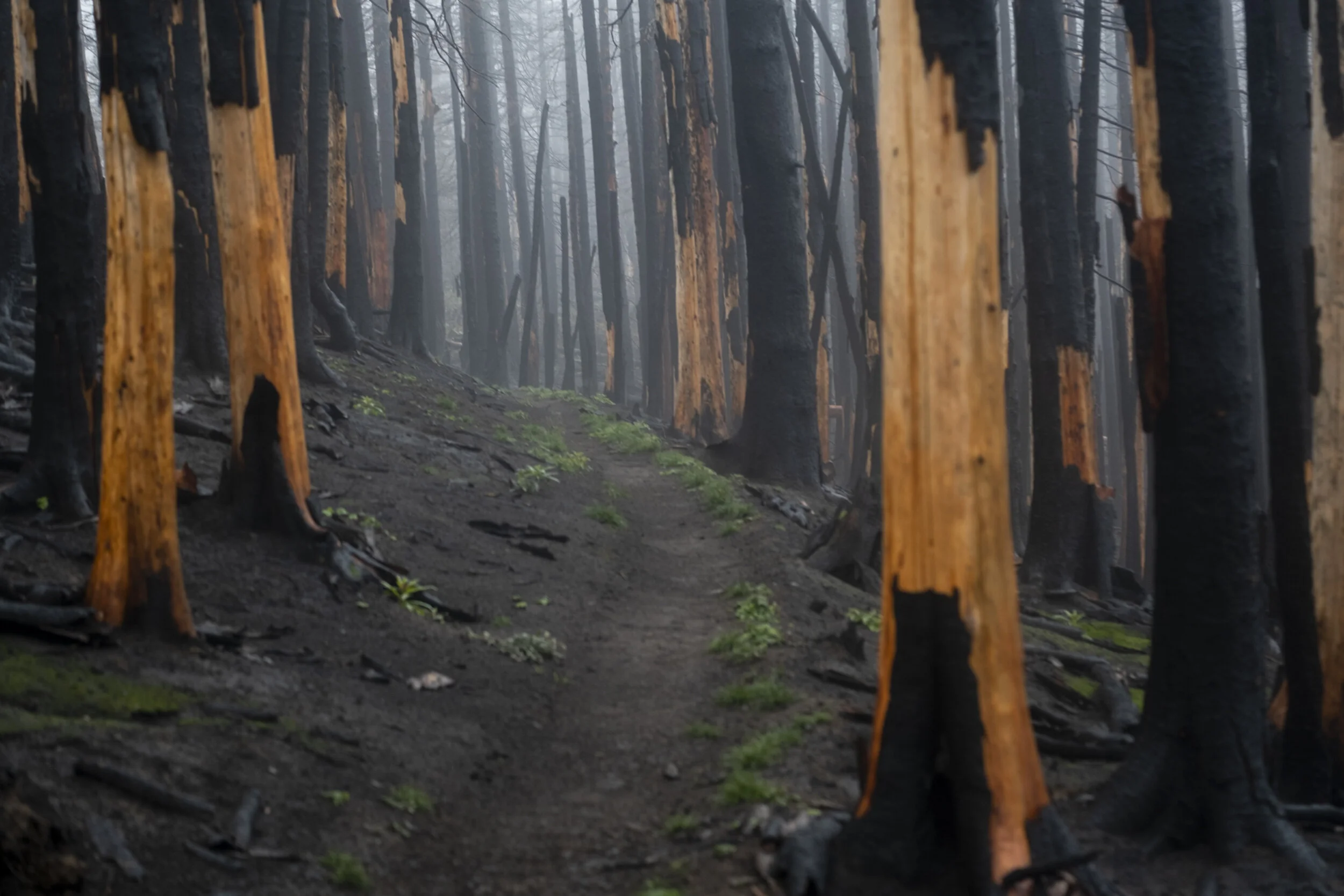 050 20190916-ZachKrahmer-183.jpg