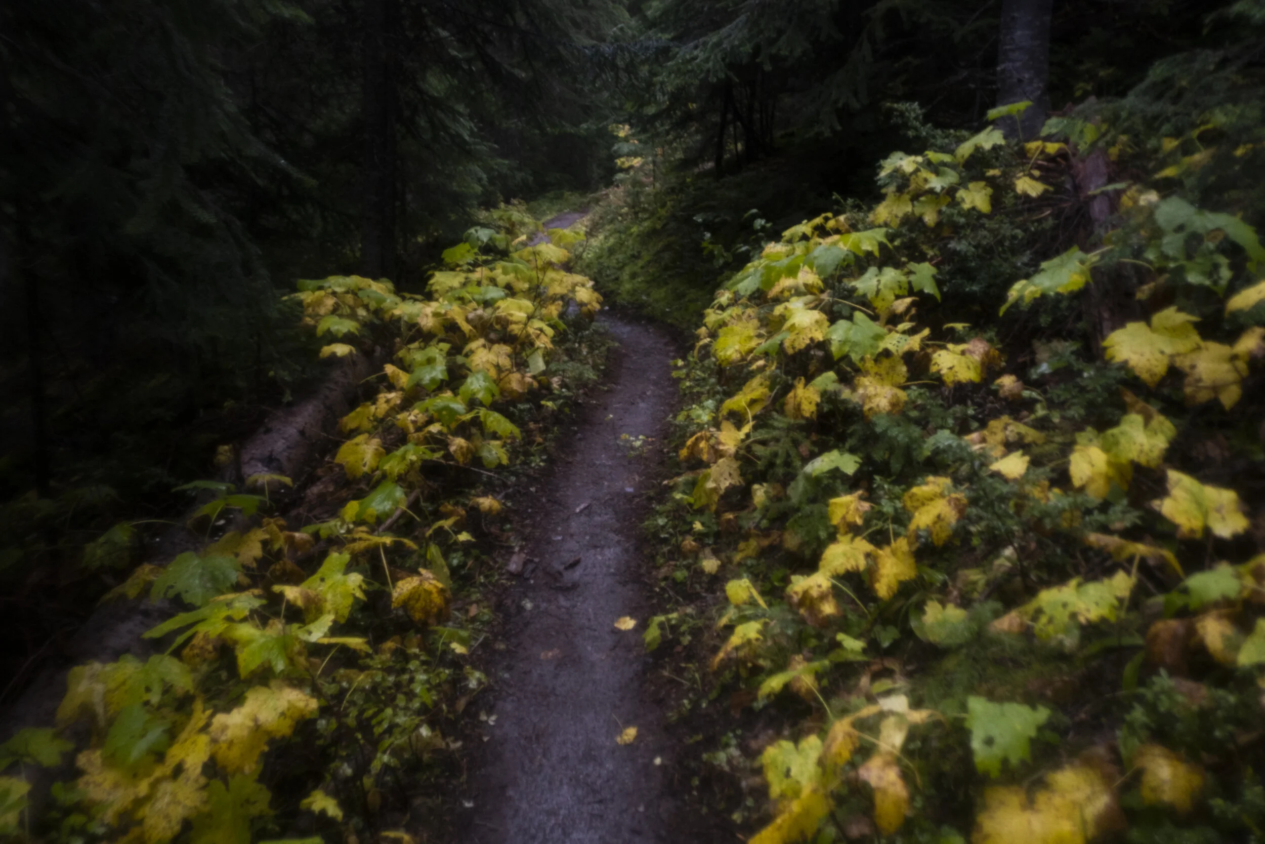 061 20190927-ZachKrahmer-133.jpg