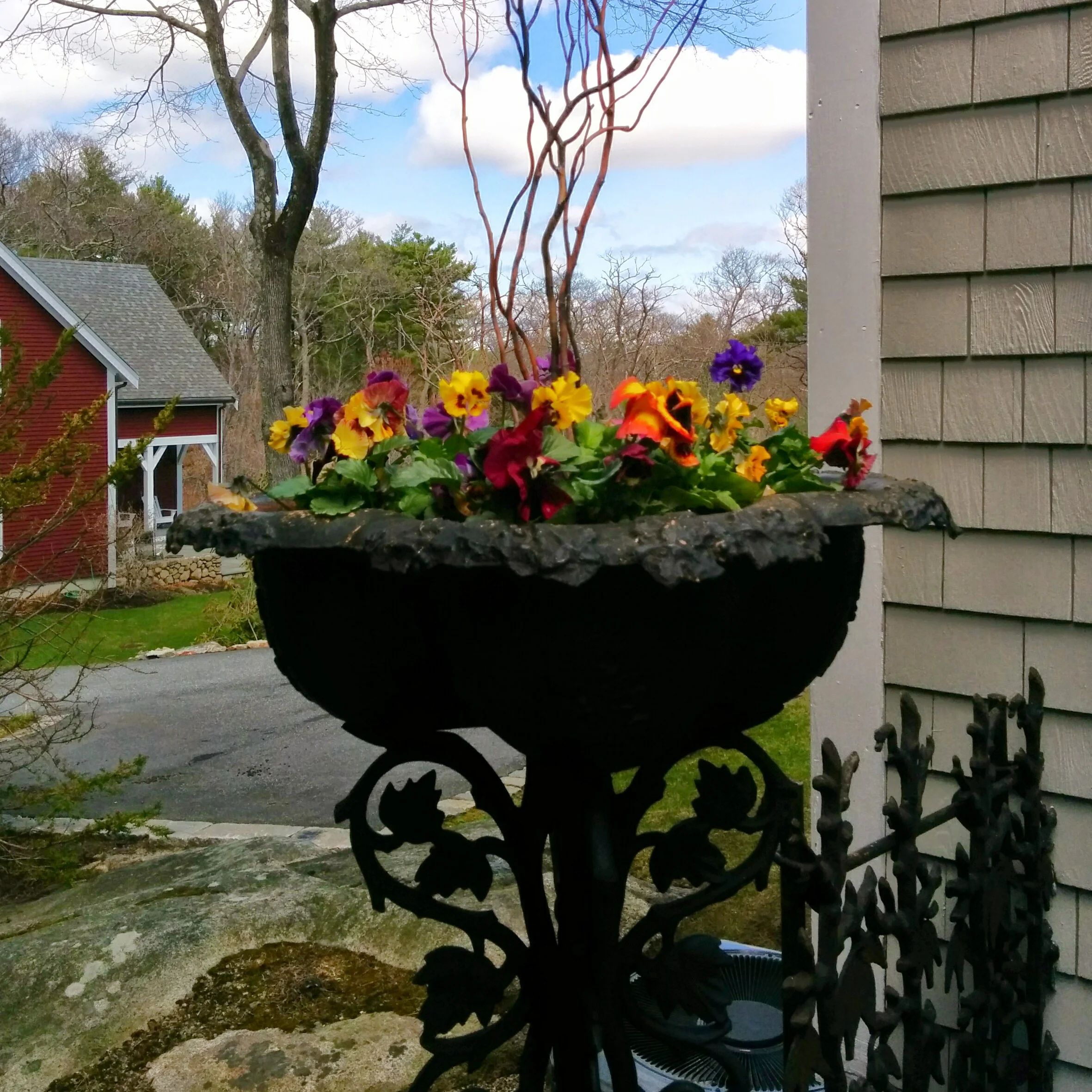 Simple planter with pansies and red twig dogwood branches.
