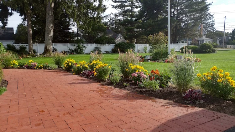 A sunny perennial border with vibrant flowers & ornamental grasses. Space was reserved for low growing annuals such as scavola and alyssum.