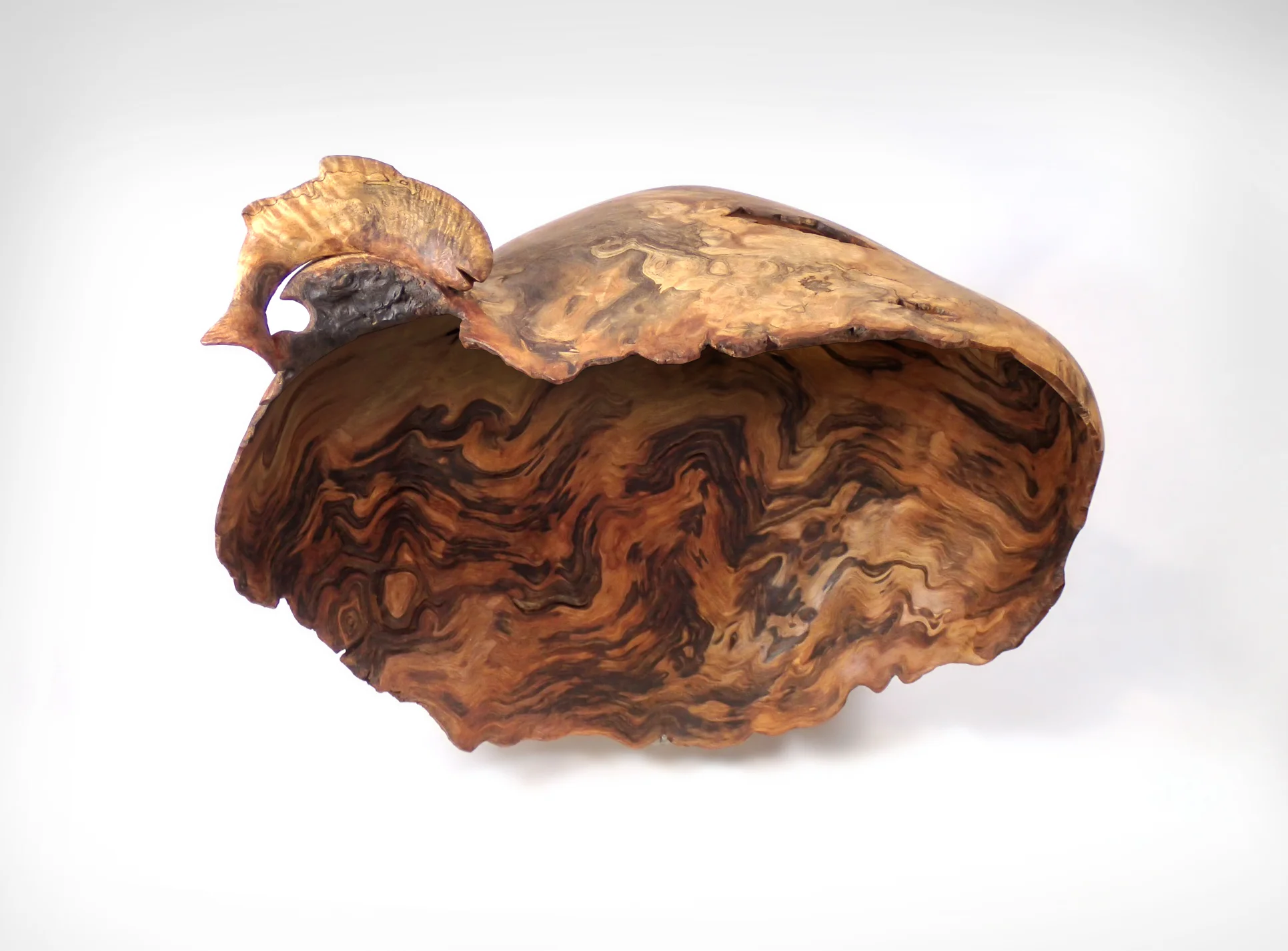Fish Bowl - Yellow Birch burl