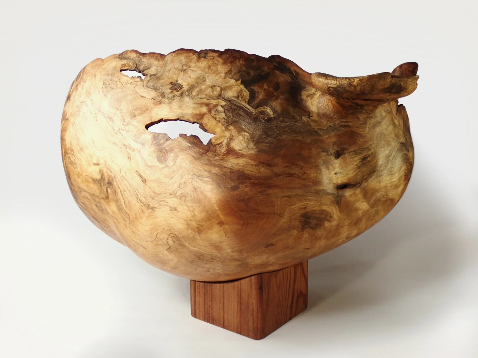 Fish Bowl - reverse side