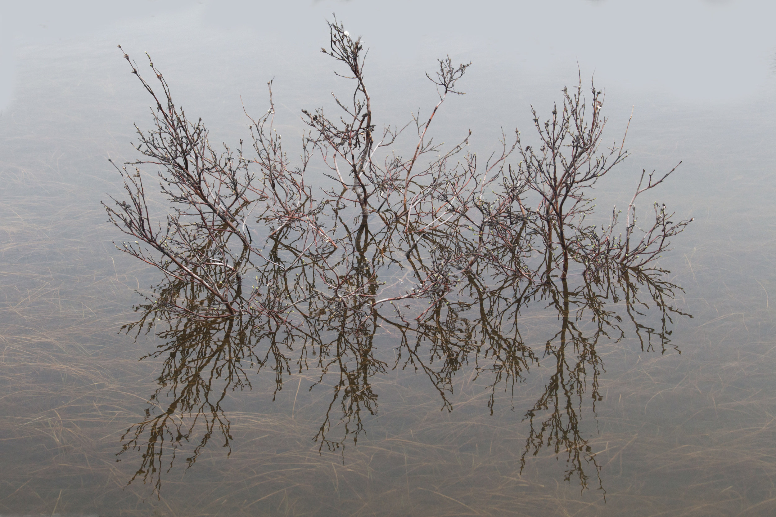 nome_reflection_00440323b.jpg