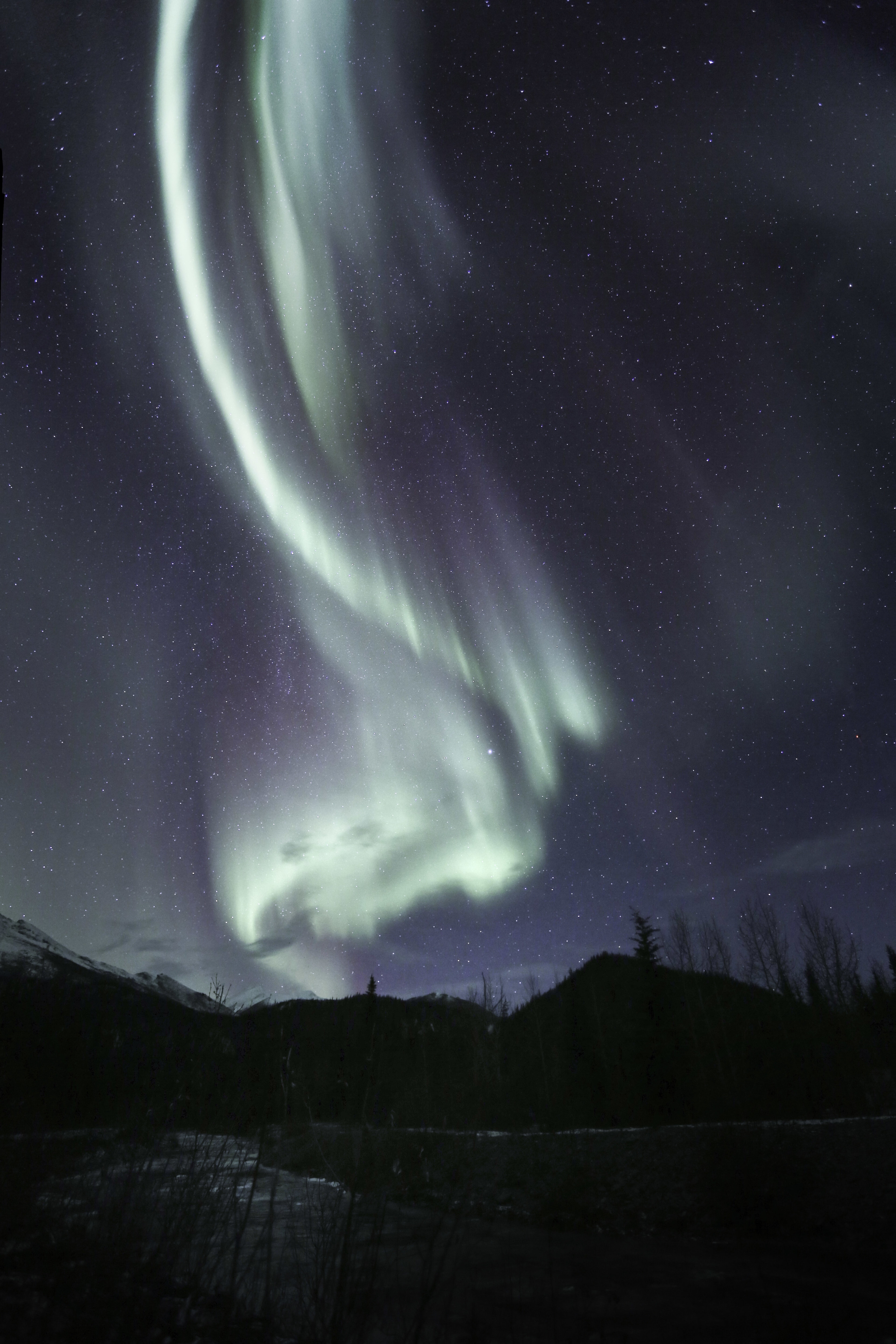 aurora_borealis_C61A6299b.jpg