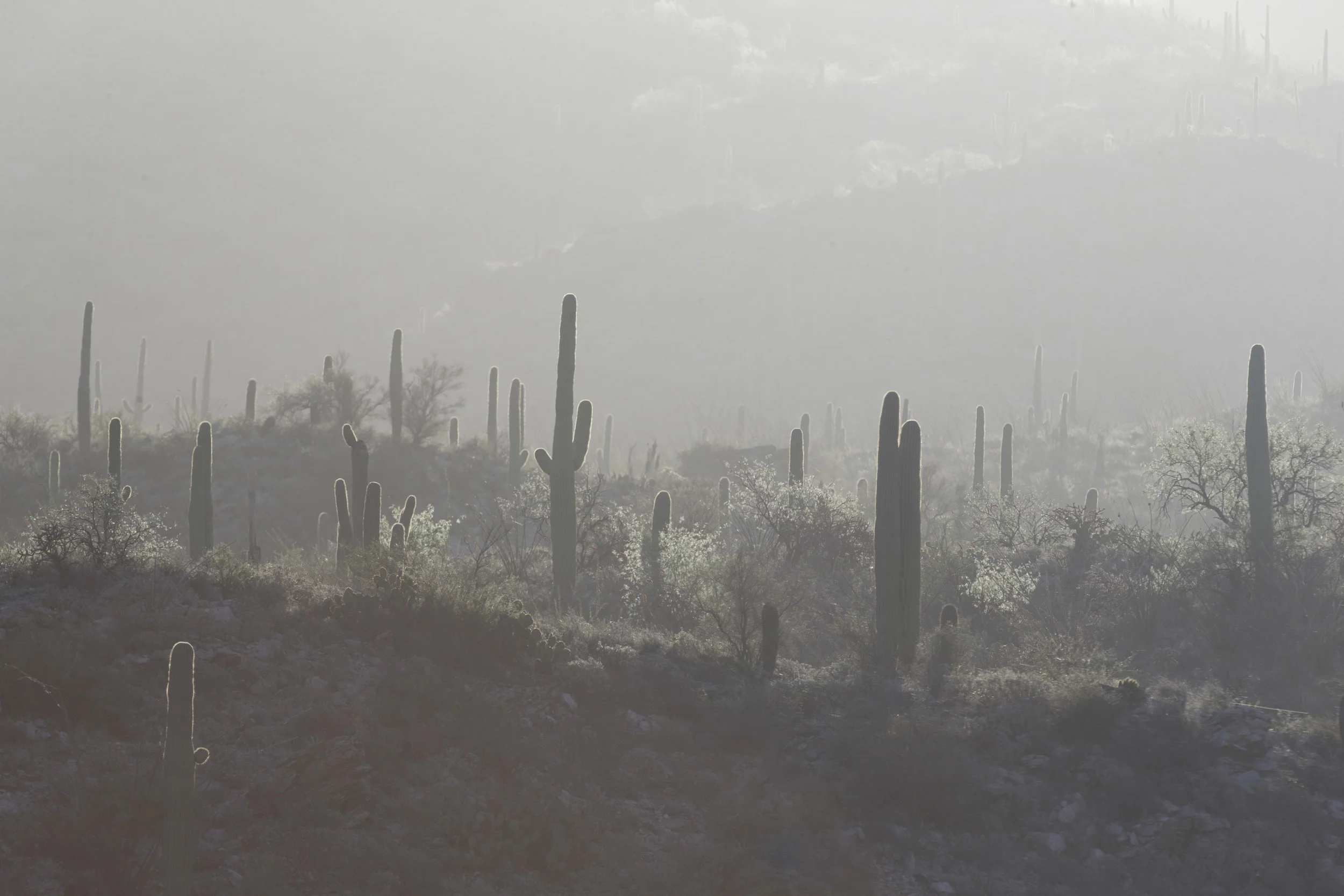 AG3P6357-Edit.jpg