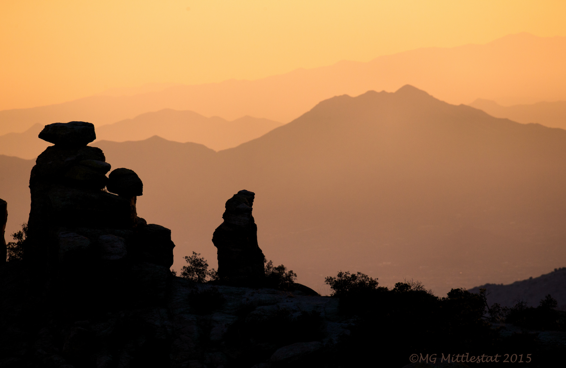 © Mark Mittlestat