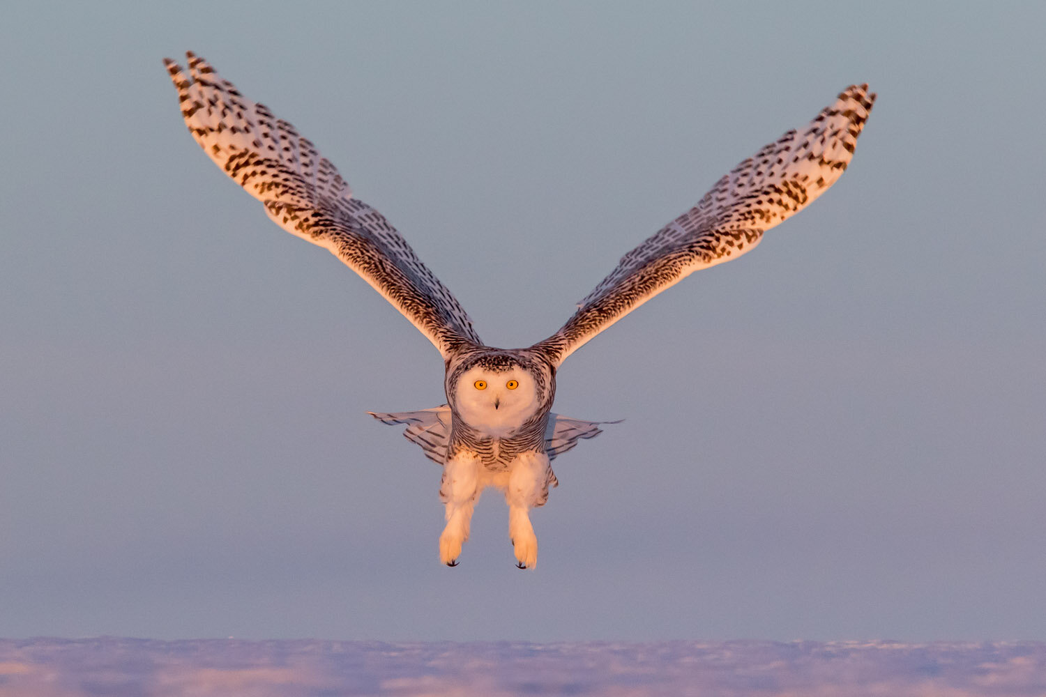 © Jon Groves