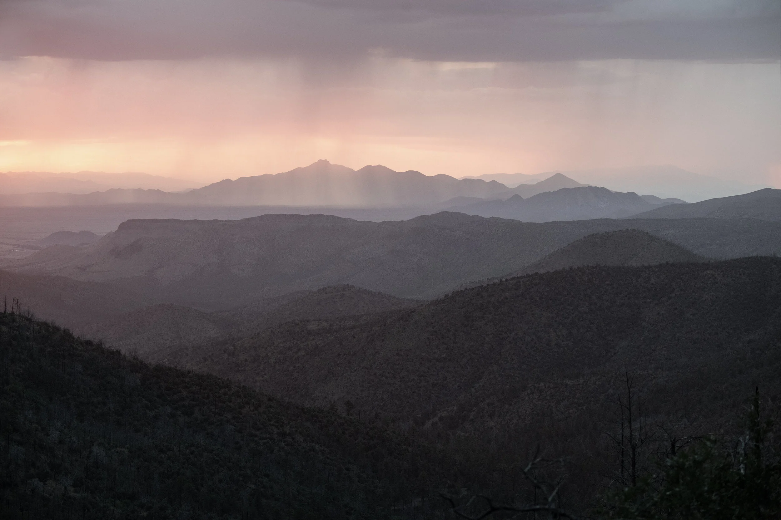 chiricahuas_DSC_7641b.jpg
