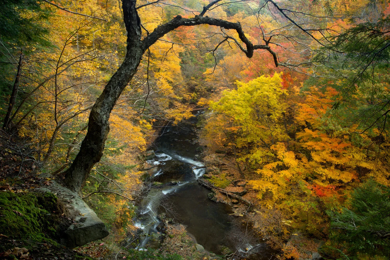 bedford_overlook_00429672c.jpg