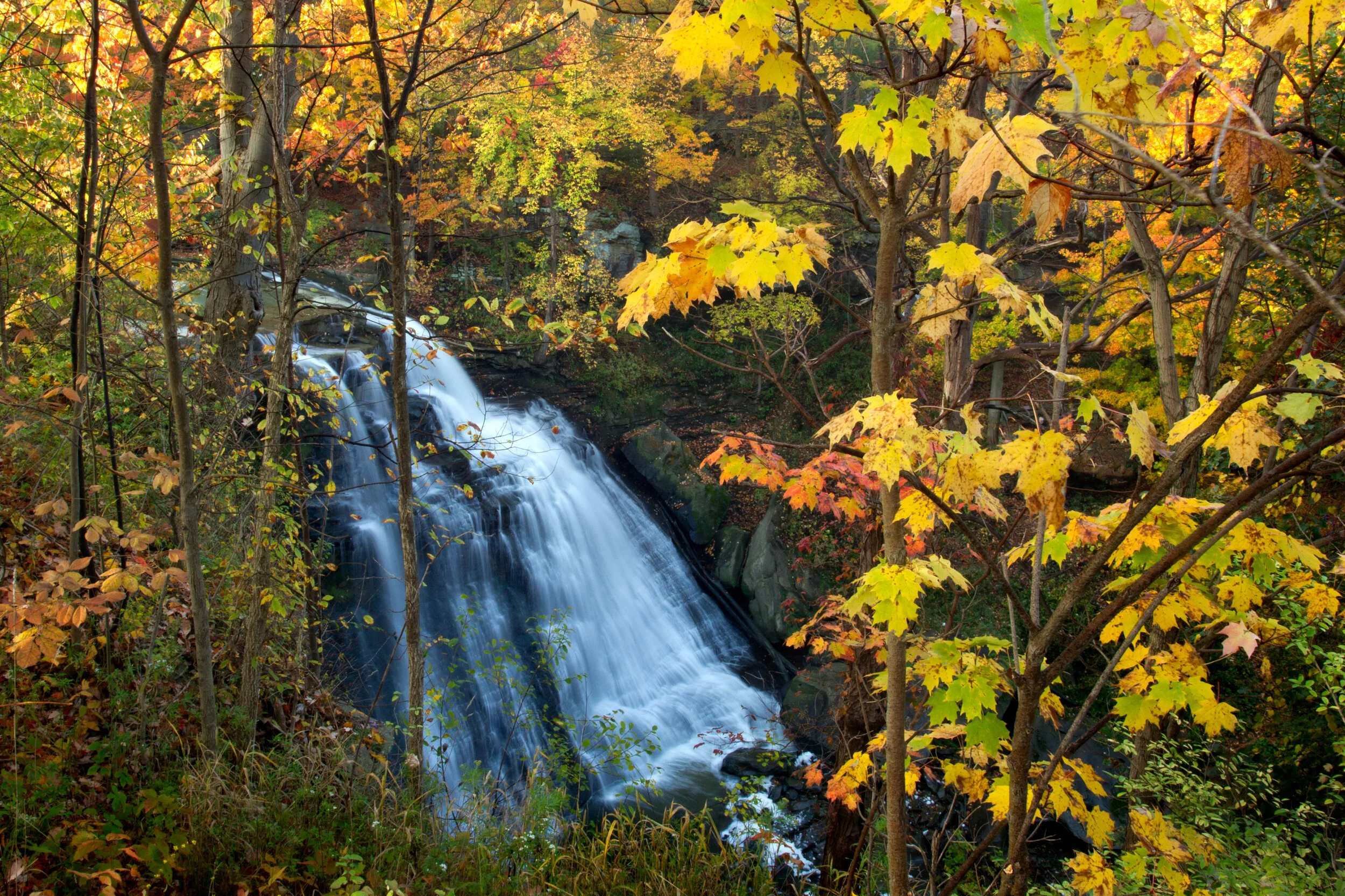 brandywine_falls_00427609b.jpg