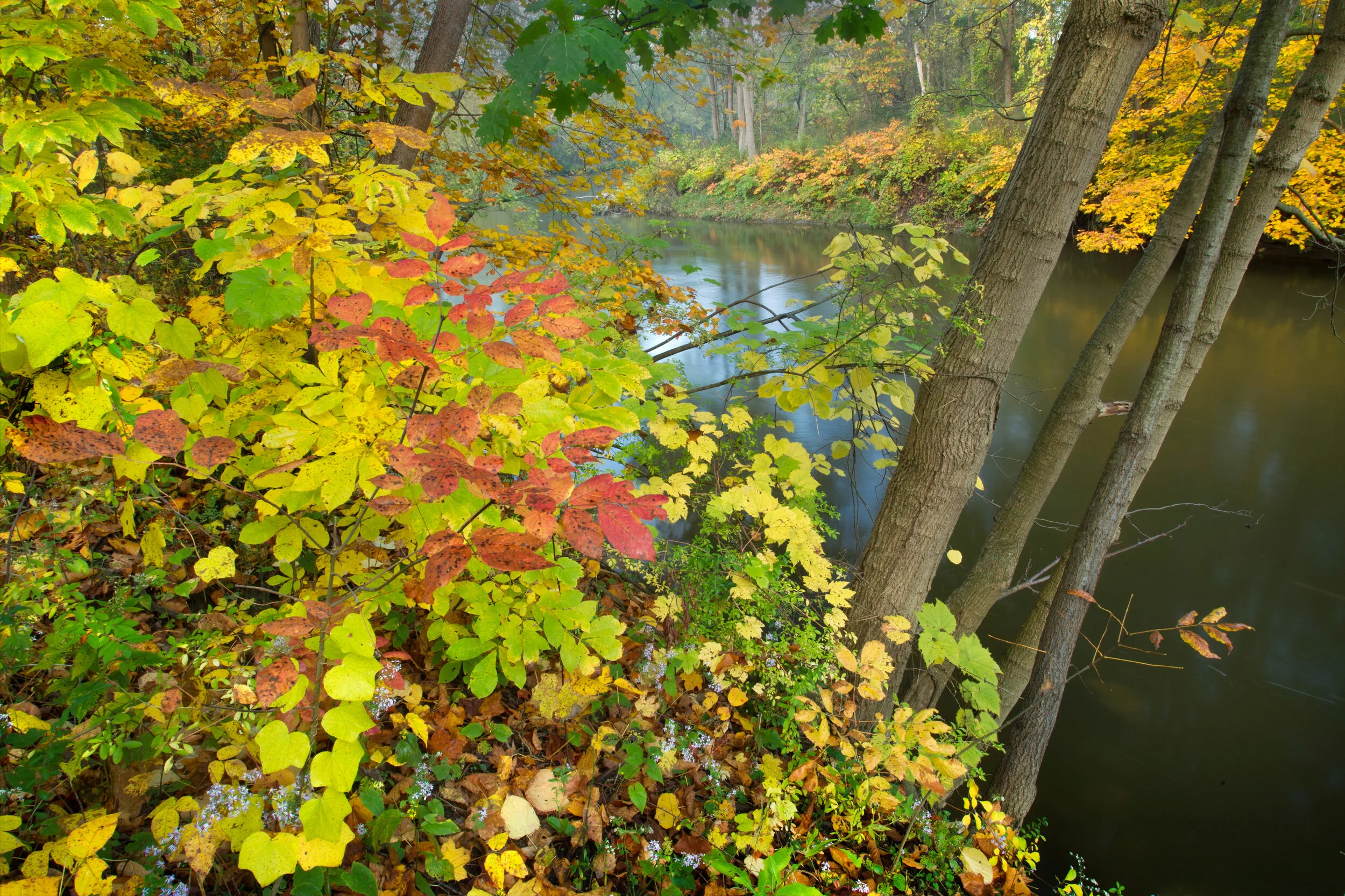 cuyahoga_00426270.jpg