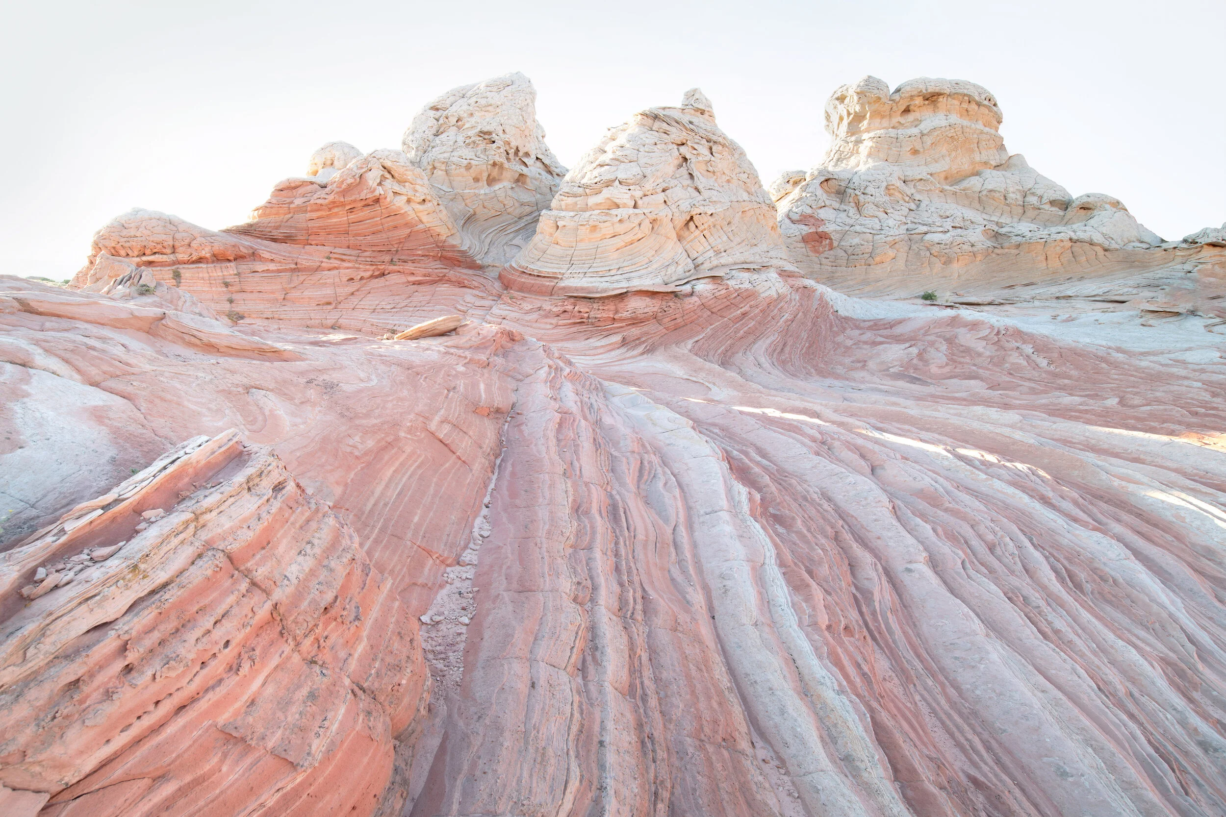 white_pocket_DSC_5472g.jpg