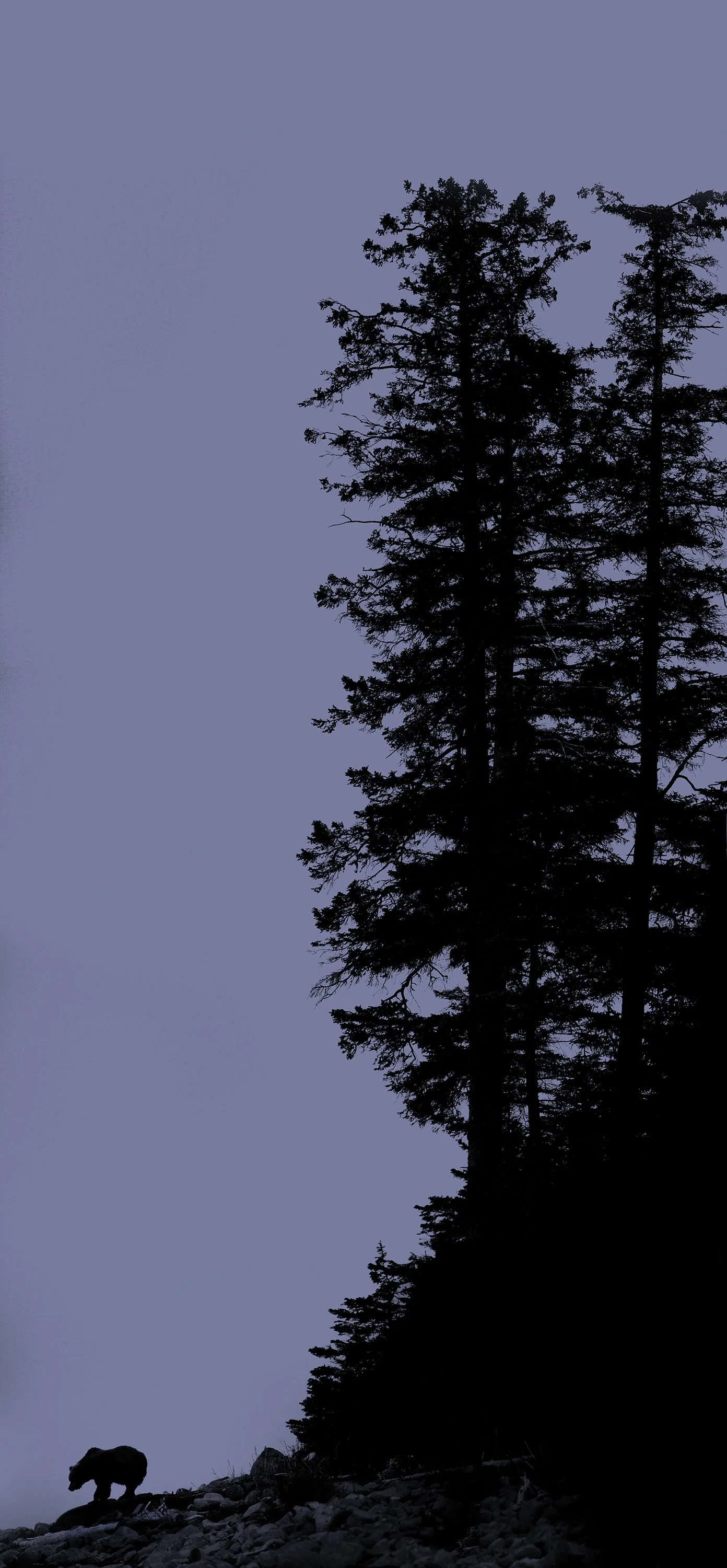 14735169020_bd80f46e4b_o.jpg