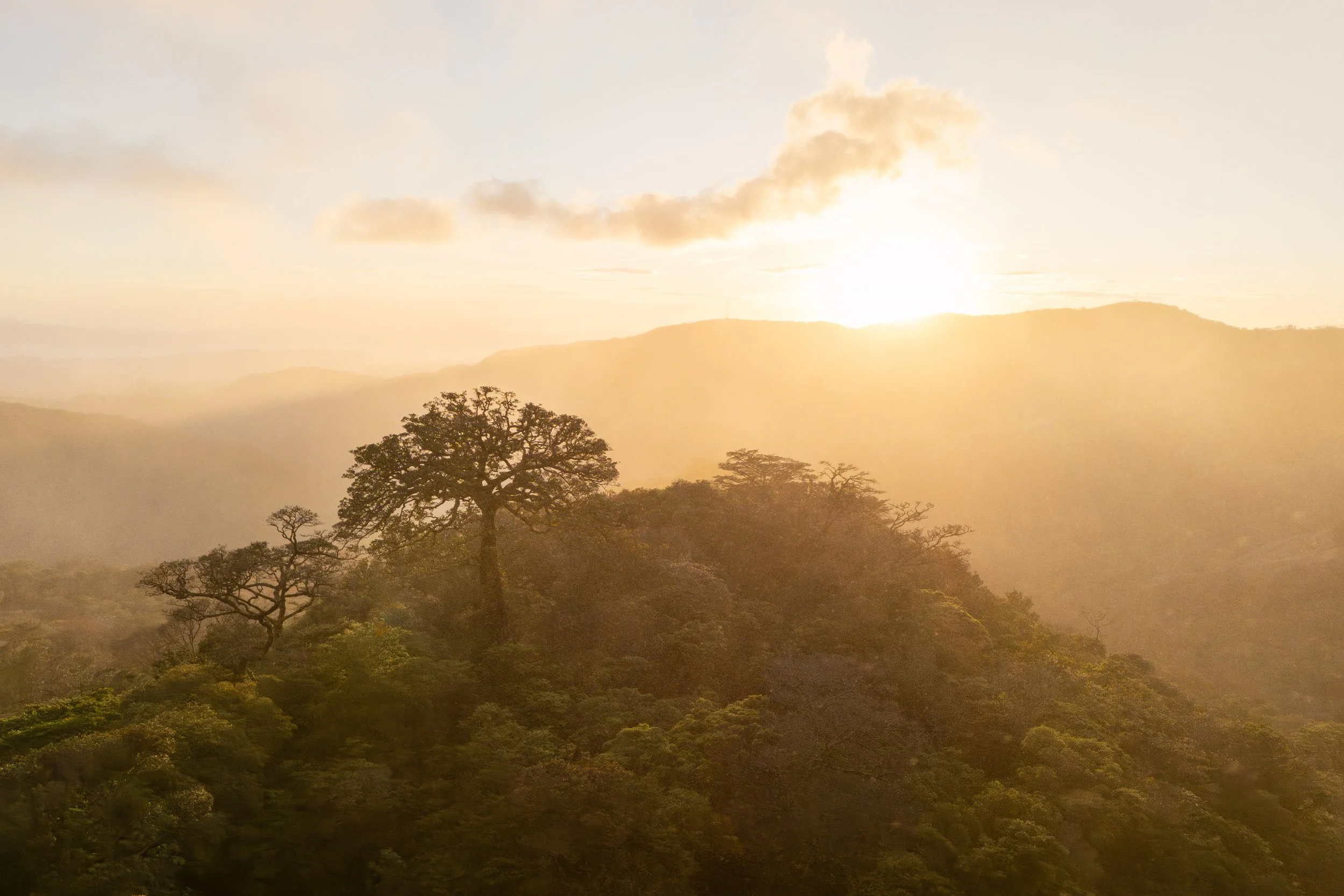 © Matthew Studebaker