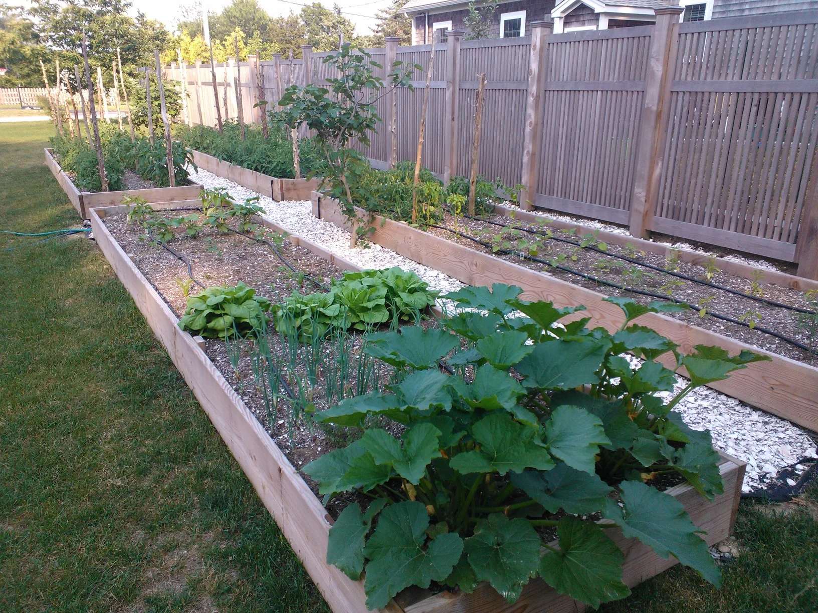 Raised Garden Beds