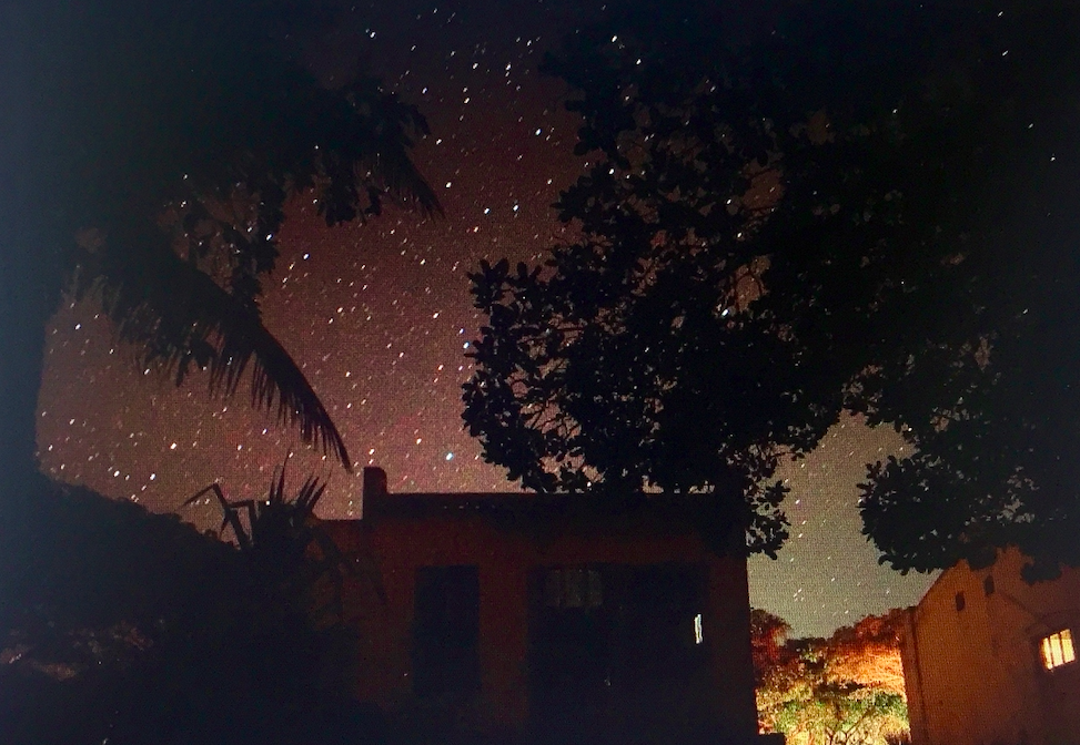 Screen Shot 2020-11-15 at 10.56.55 AM.png