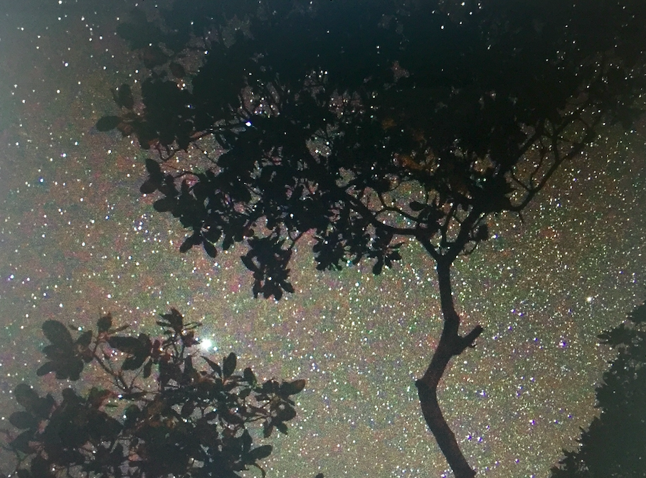 Screen Shot 2020-11-15 at 10.55.43 AM.png