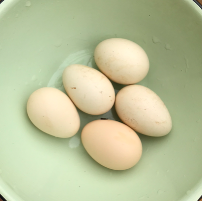 Scenes from a Chibuene Day