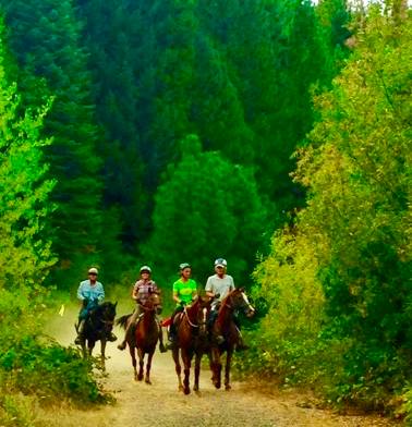 Kristina Chesterman Memorial Ride